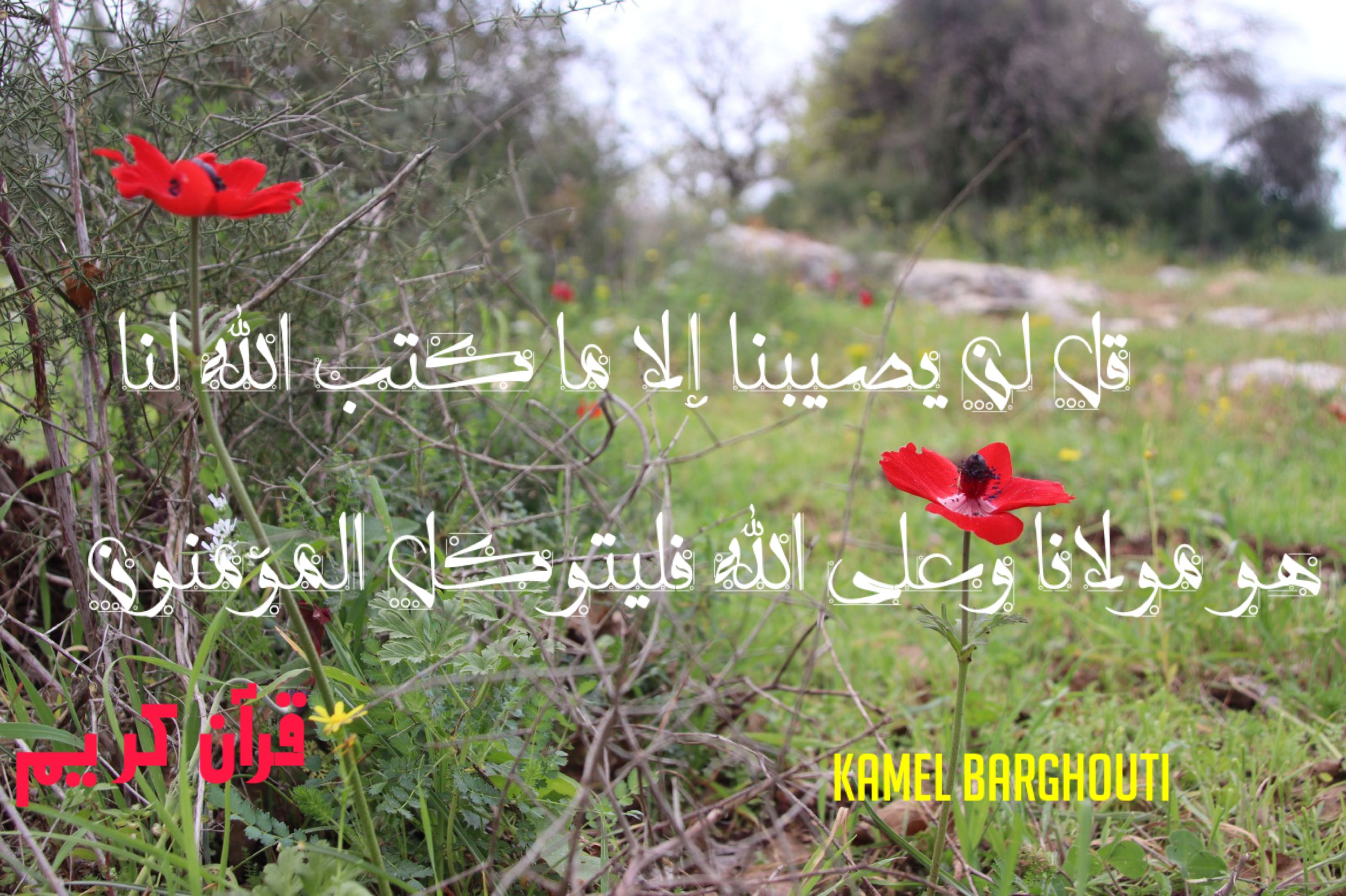 اليقين بالله – اقتباس 124