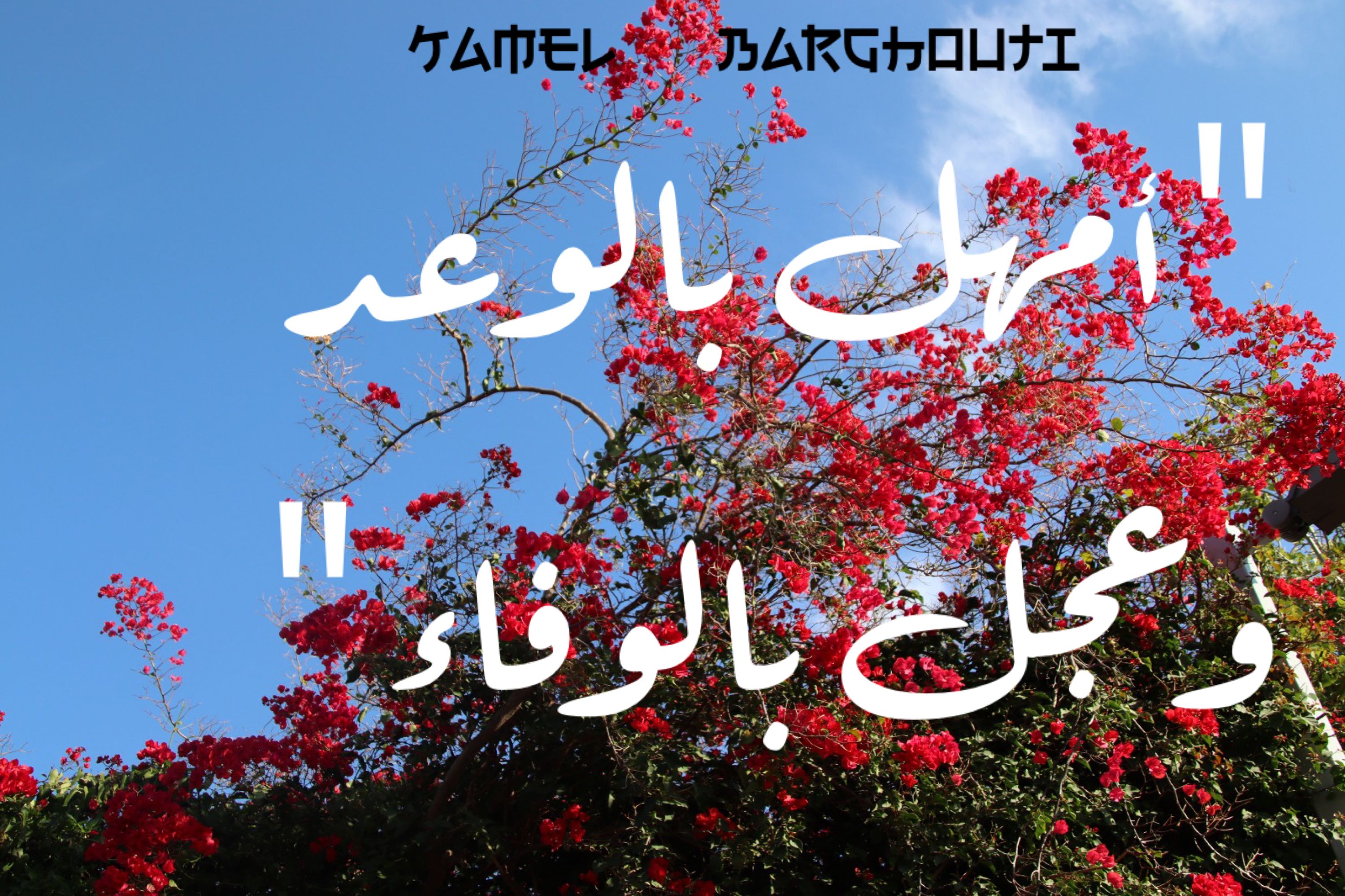 اليقين بالله – اقتباس 113