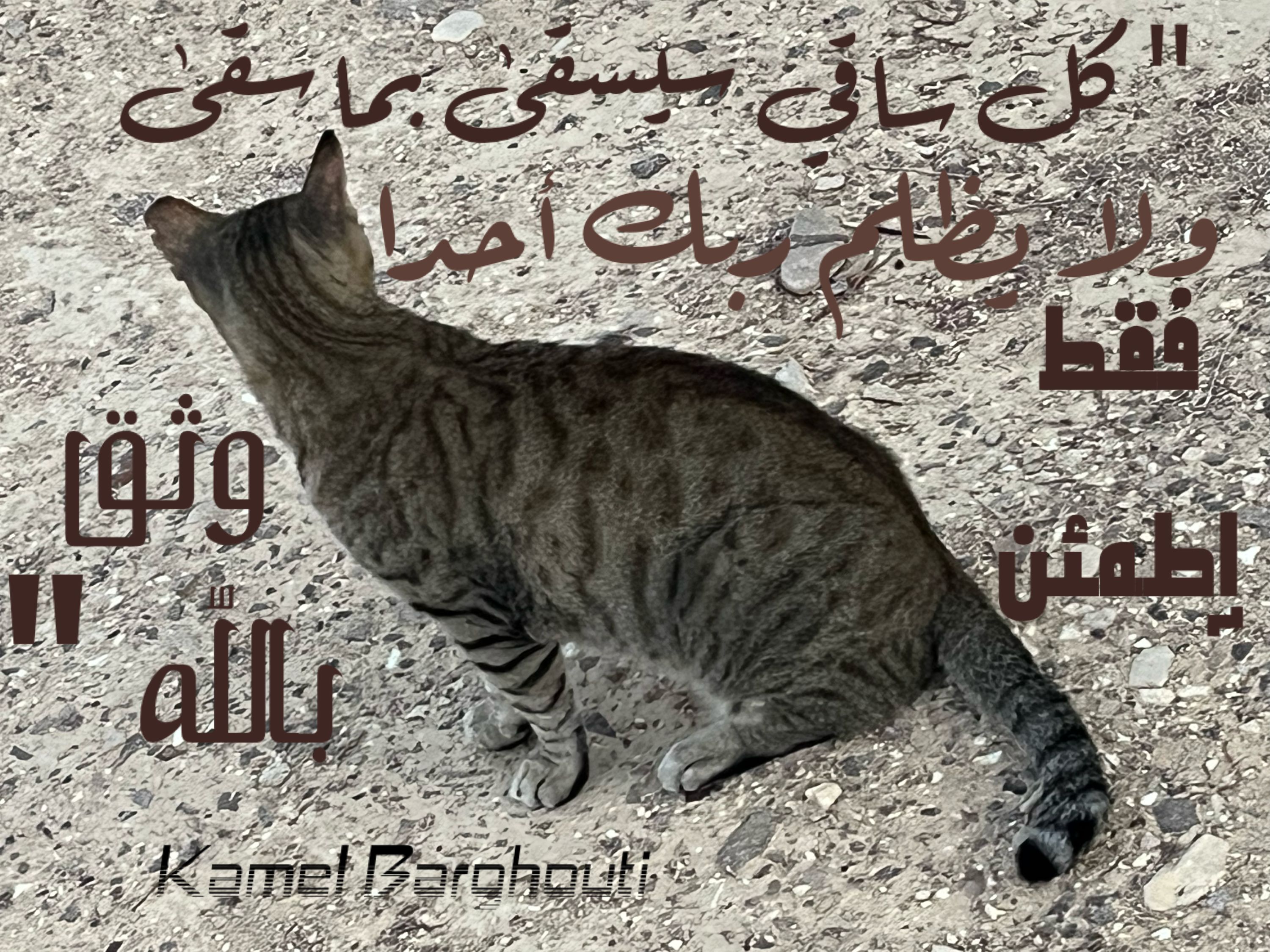 اليقين بالله – اقتباس 100