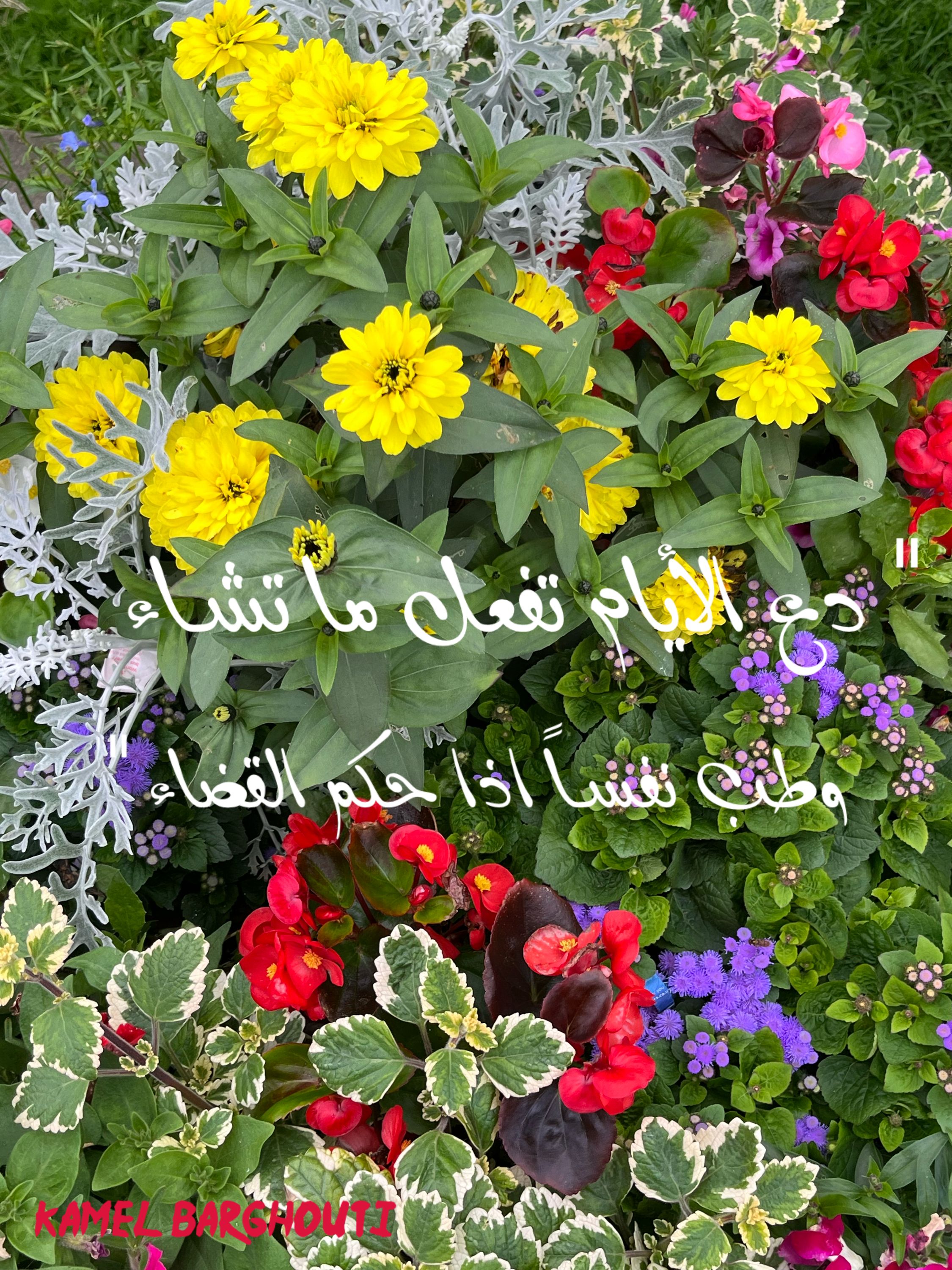 اليقين بالله – اقتباس 86