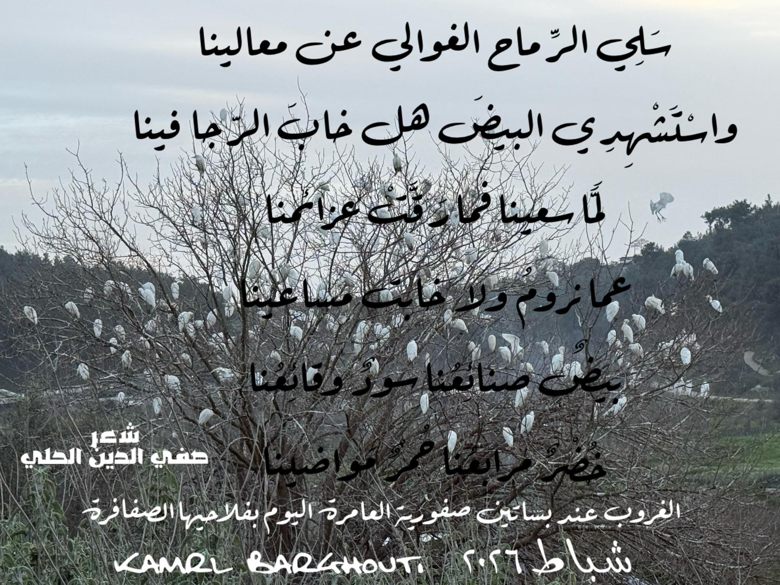العزيمة والإصرار والثقة بالنفس – اقتباس 254