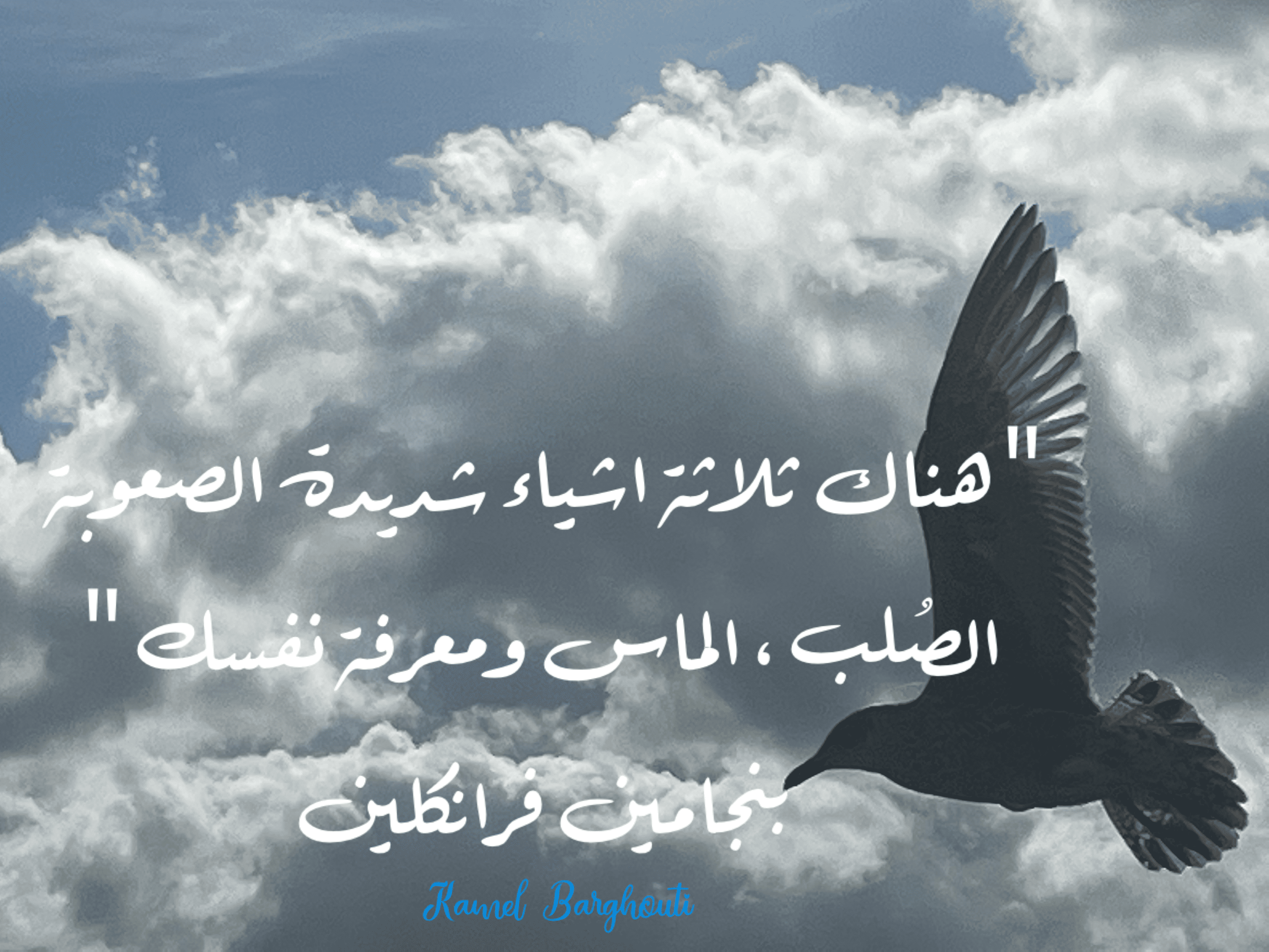 العزيمة والإصرار والثقة بالنفس – اقتباس 245