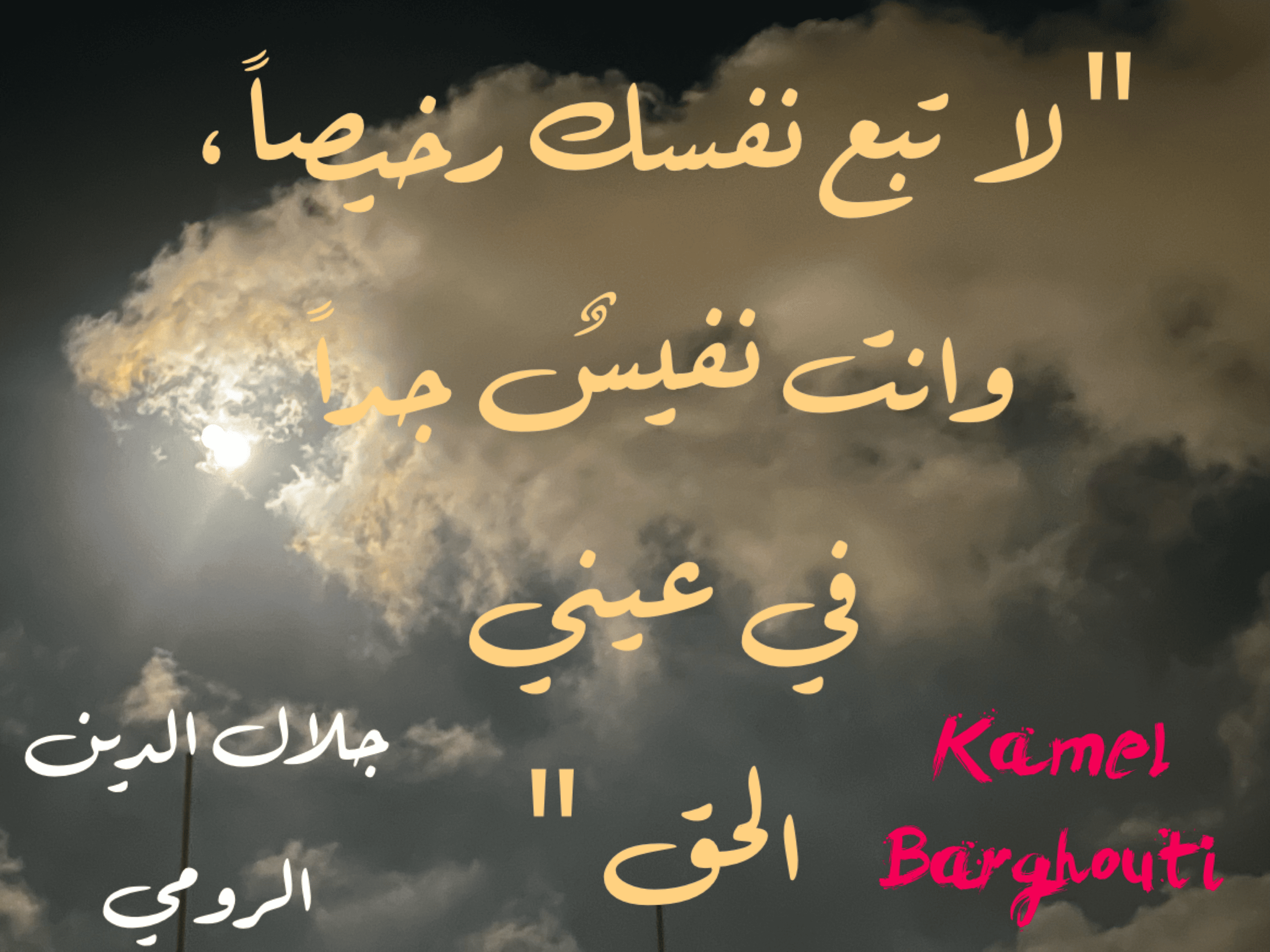 العزيمة والإصرار والثقة بالنفس – اقتباس 246