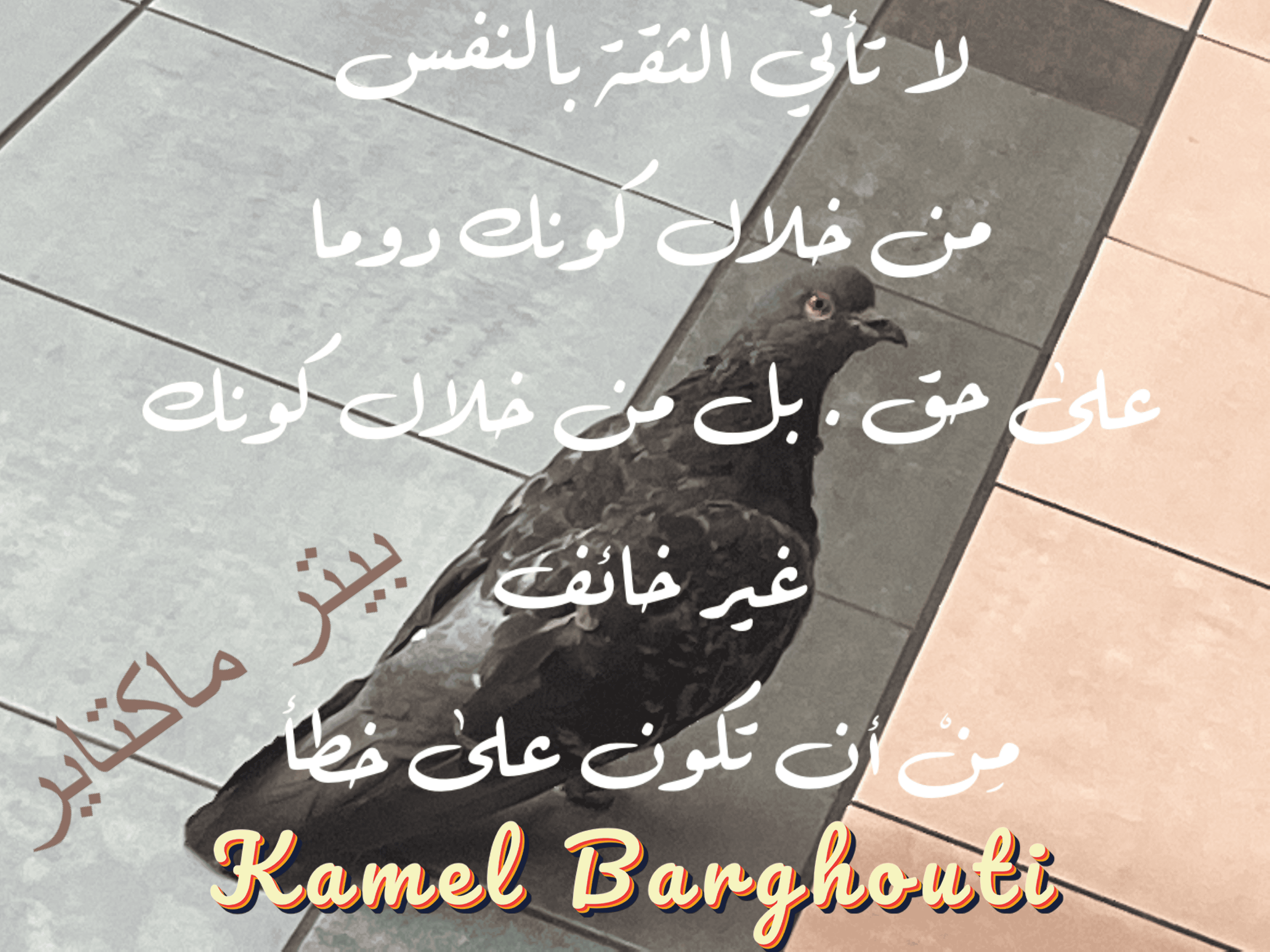 العزيمة والإصرار والثقة بالنفس – اقتباس 234