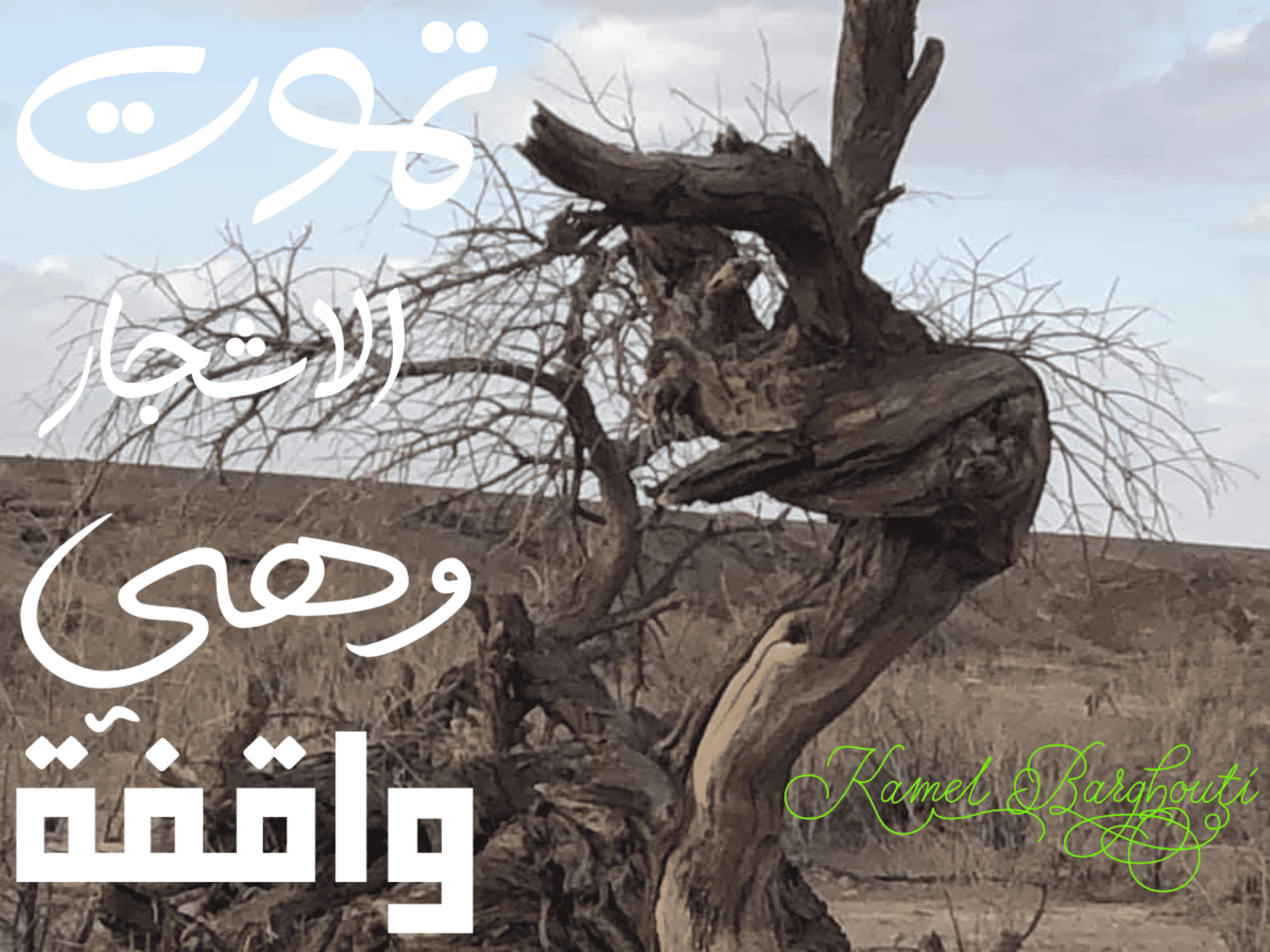 العزيمة والإصرار والثقة بالنفس – اقتباس 225