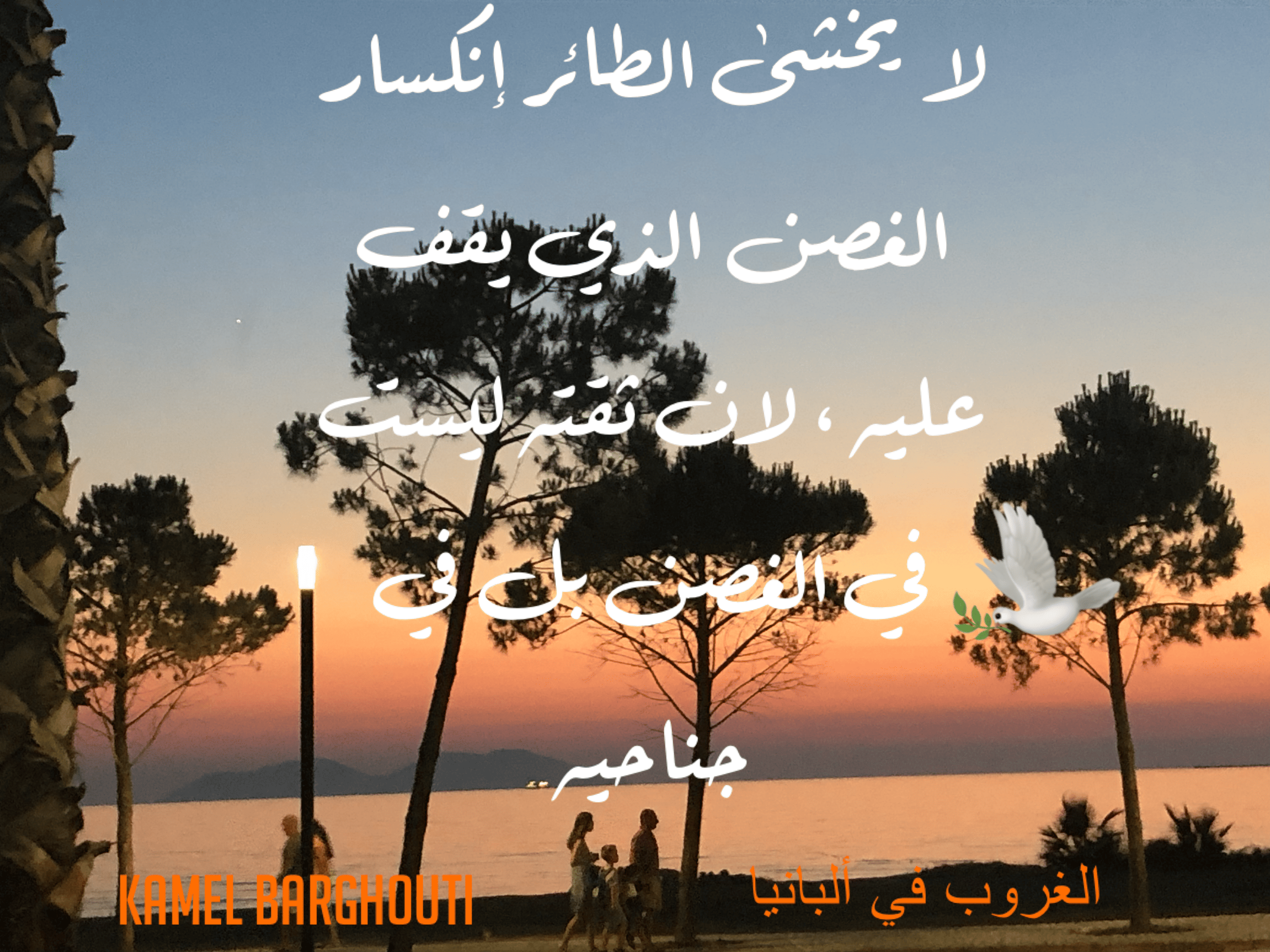 العزيمة والإصرار والثقة بالنفس – اقتباس 213