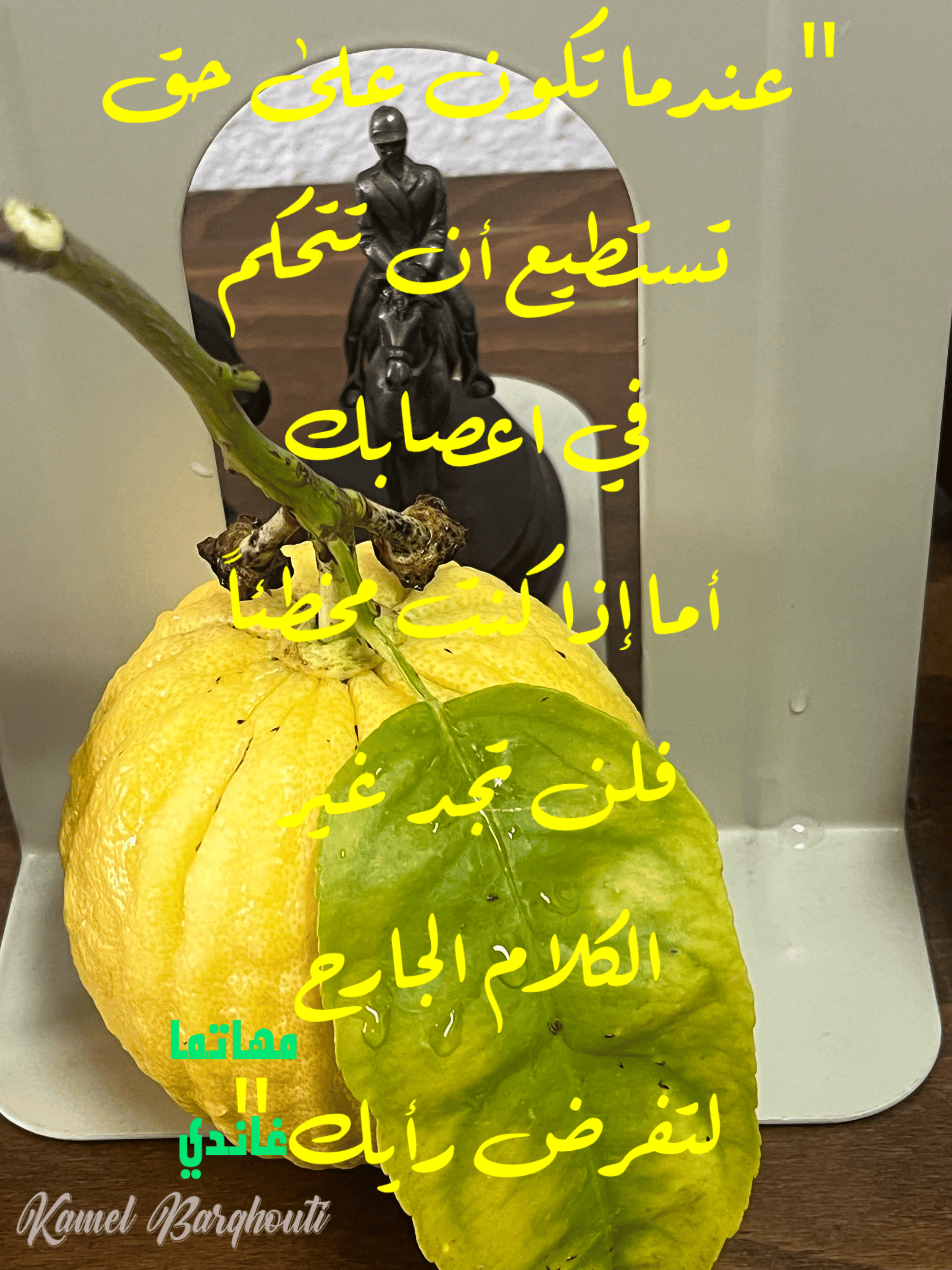 العزيمة والإصرار والثقة بالنفس – اقتباس 204
