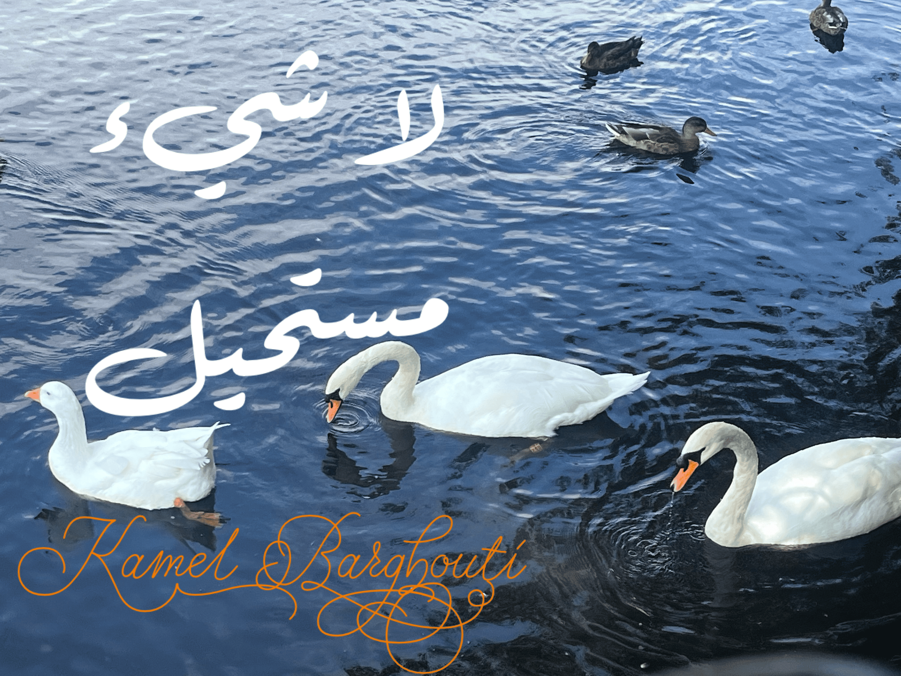 العزيمة والإصرار والثقة بالنفس – اقتباس 197