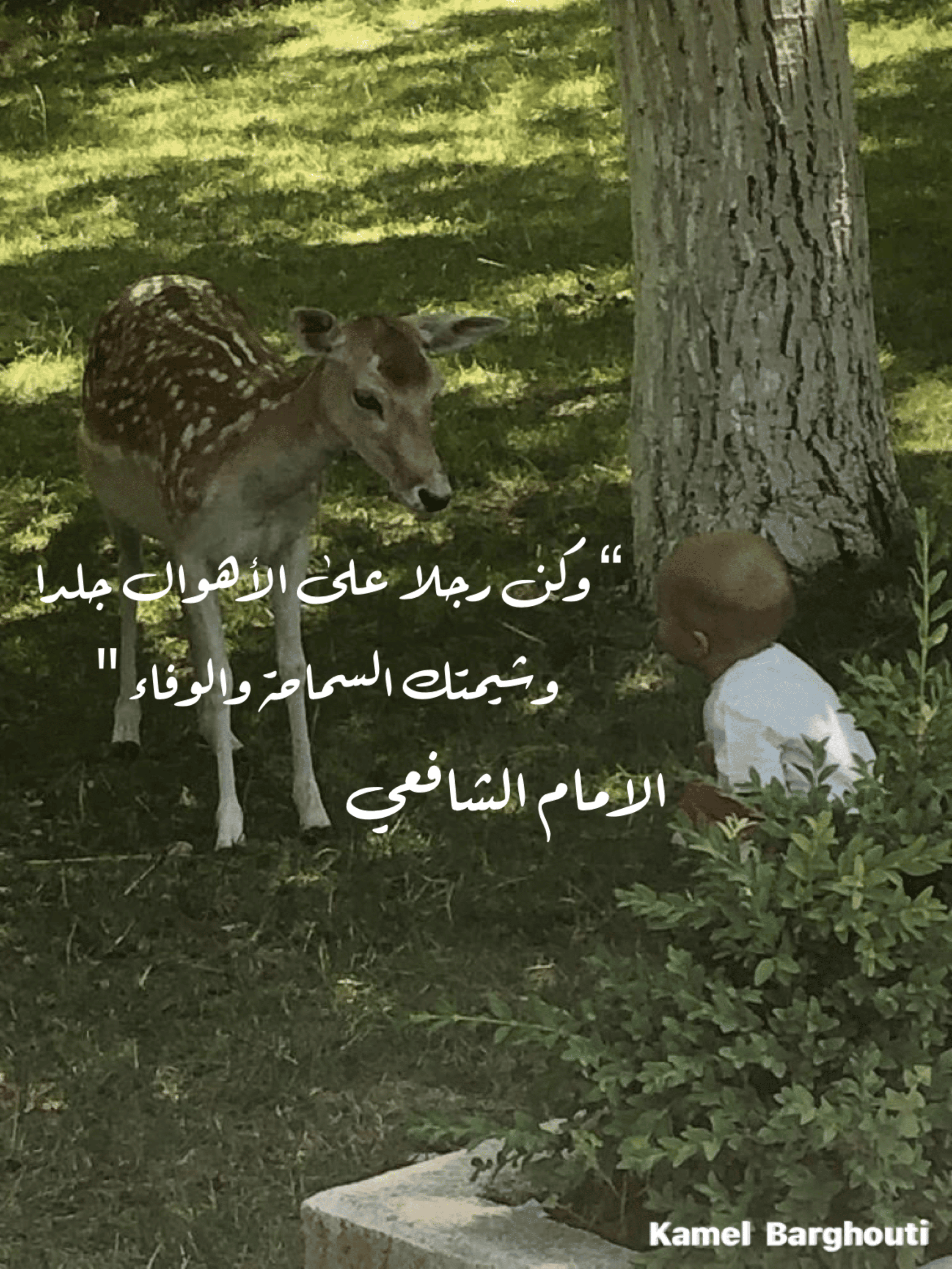 العزيمة والإصرار والثقة بالنفس – اقتباس 187