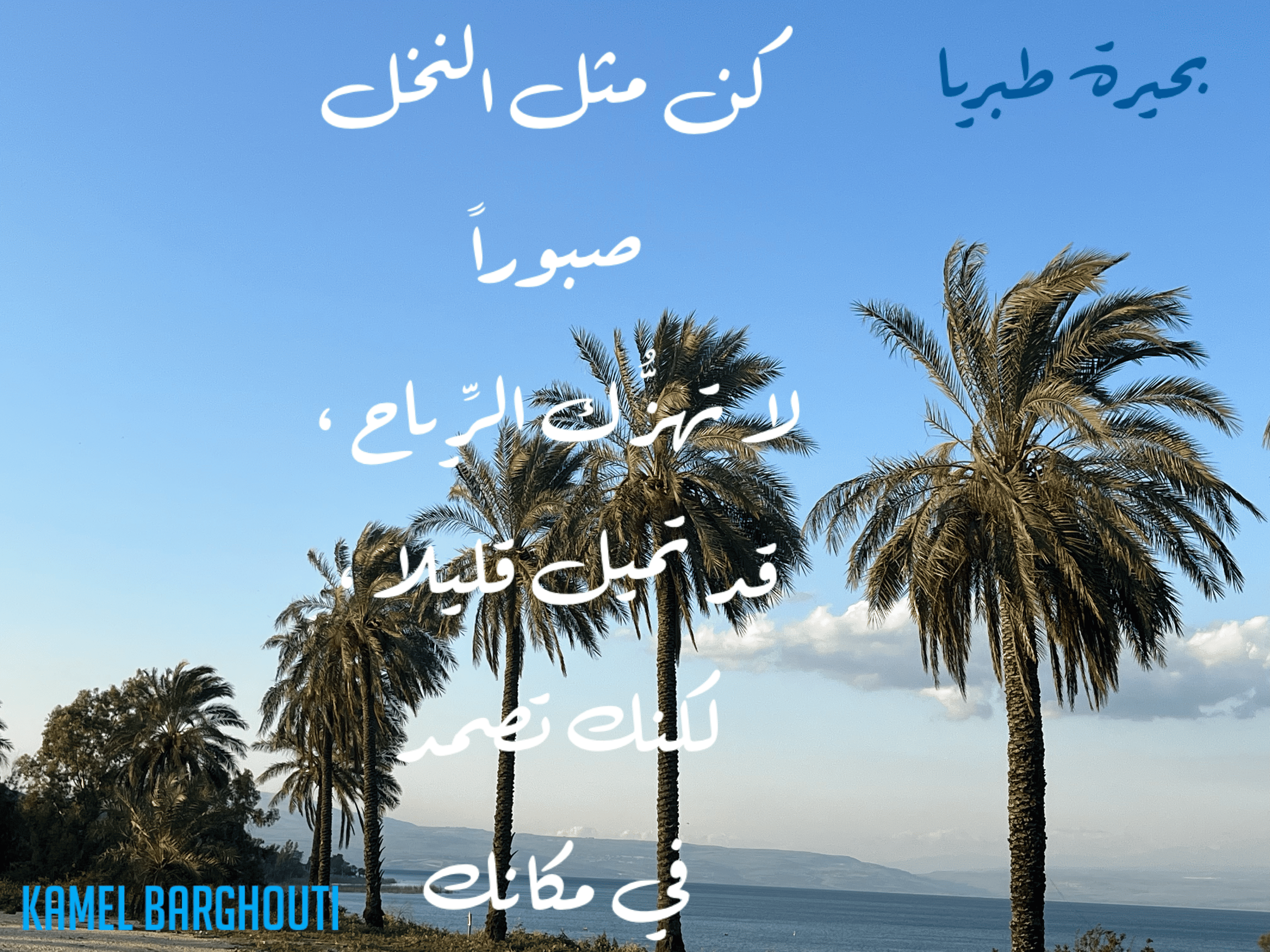 العزيمة والإصرار والثقة بالنفس – اقتباس 169