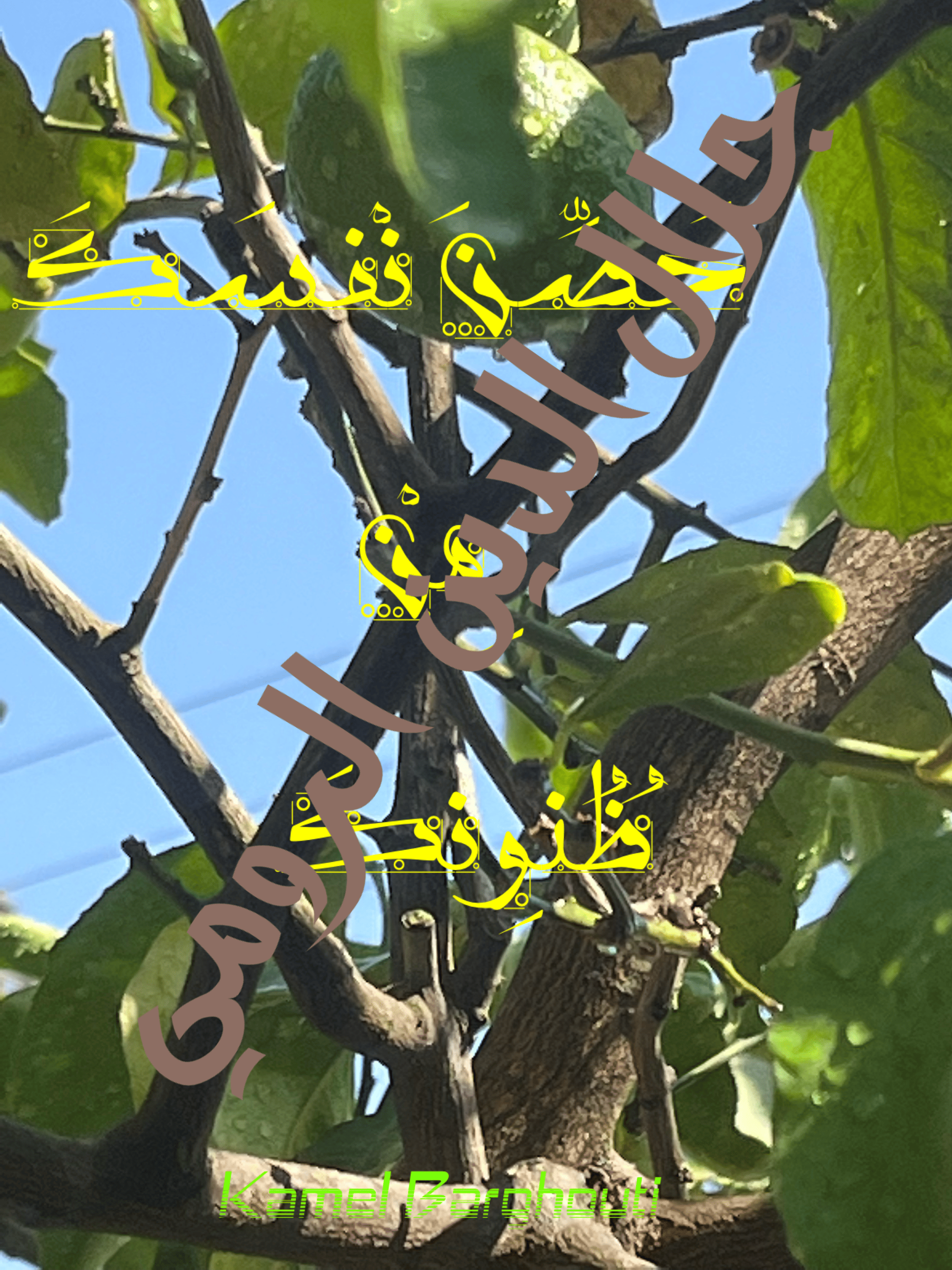 العزيمة والإصرار والثقة بالنفس – اقتباس 168