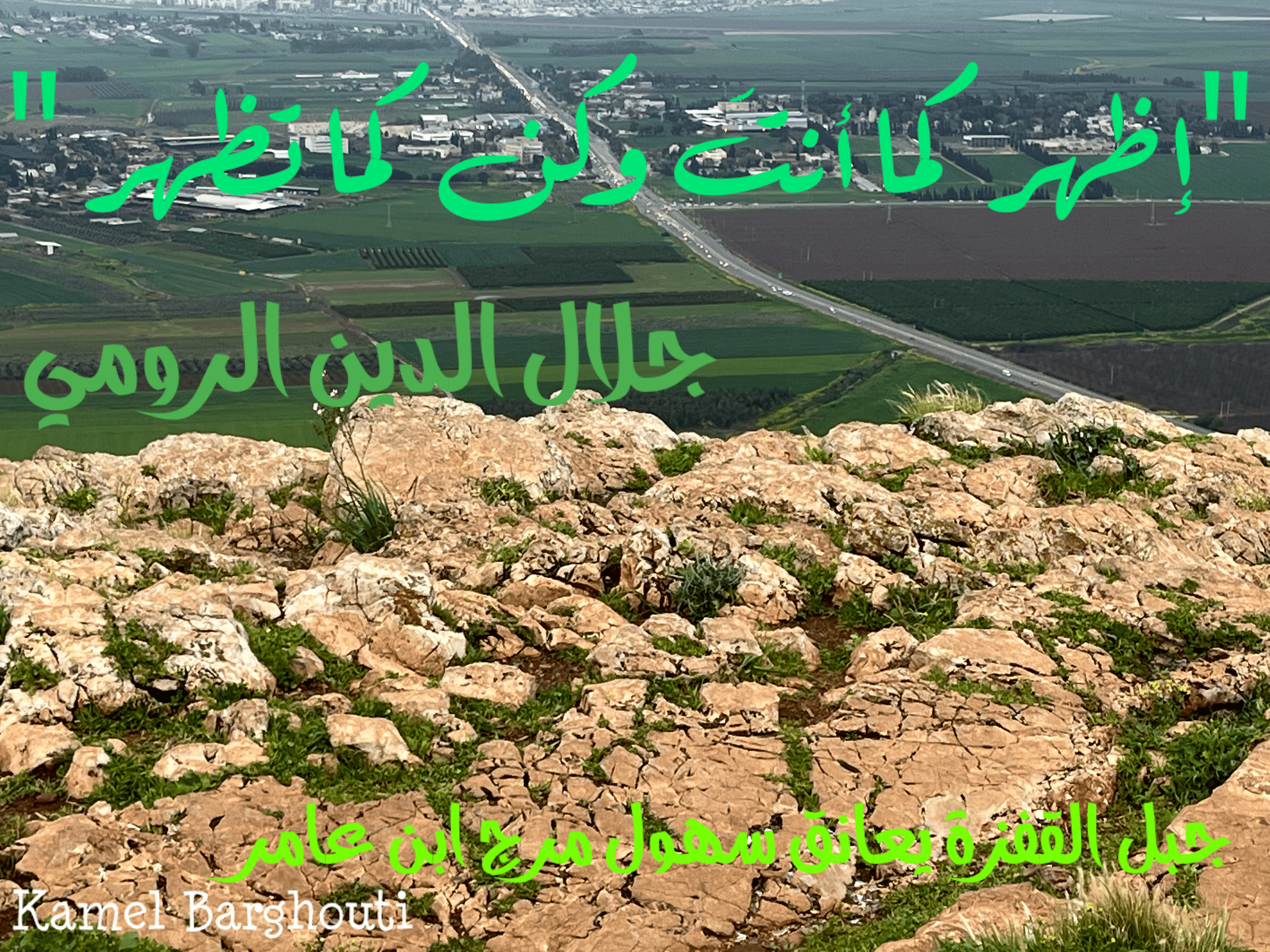 العزيمة والإصرار والثقة بالنفس – اقتباس 134