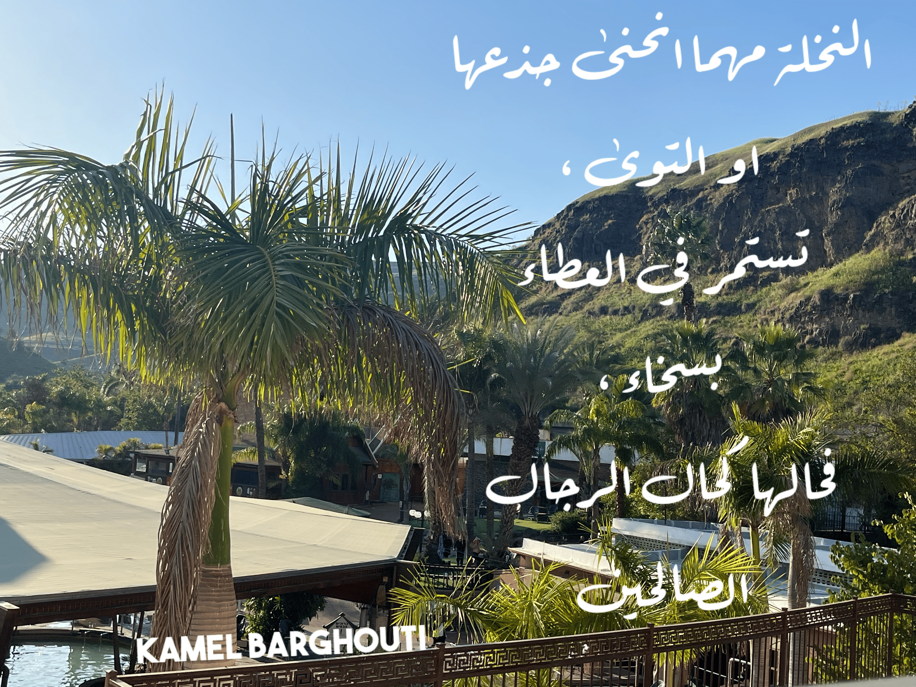 العزيمة والإصرار والثقة بالنفس – اقتباس 123