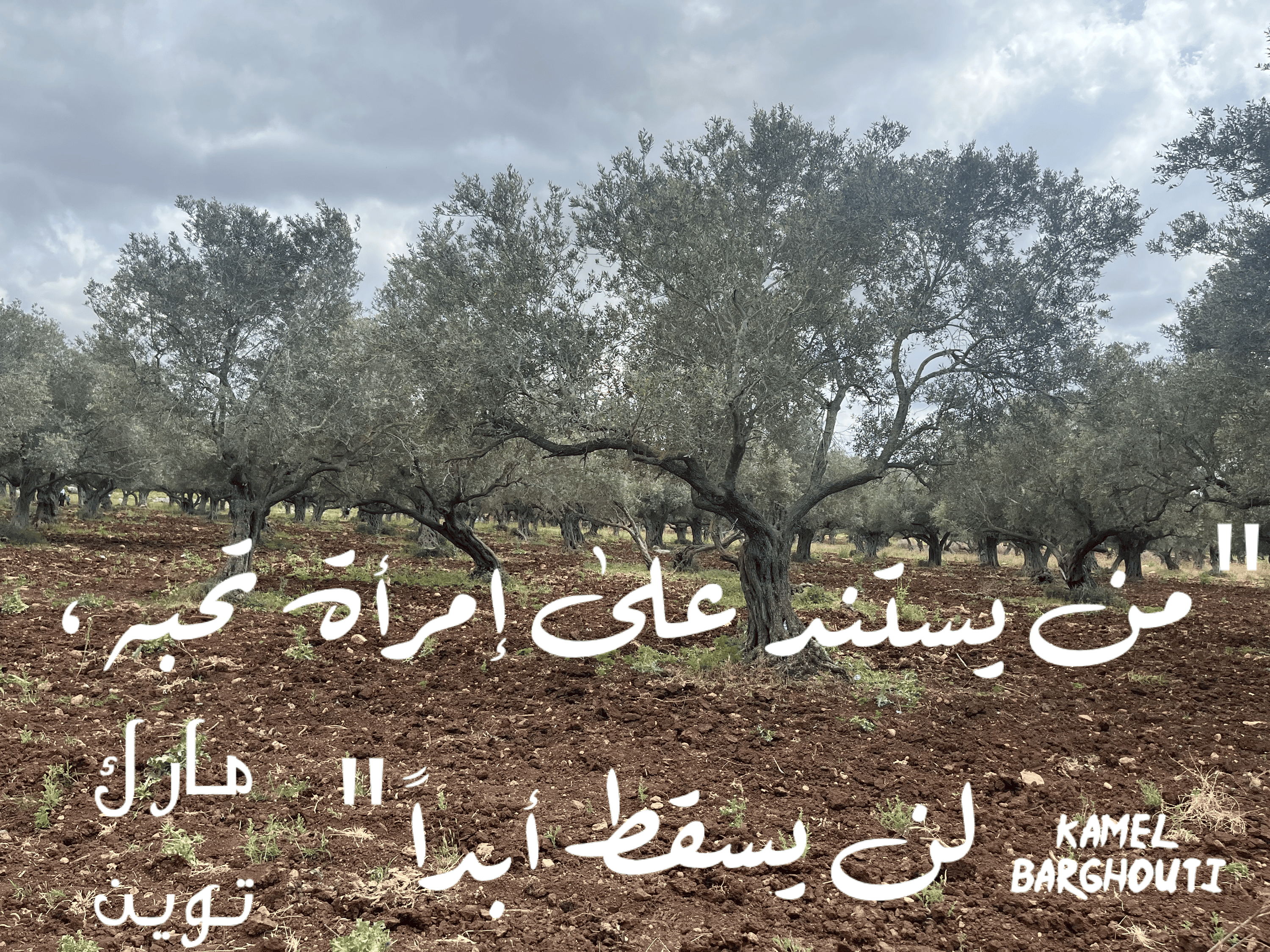 العزيمة والإصرار والثقة بالنفس – اقتباس 115