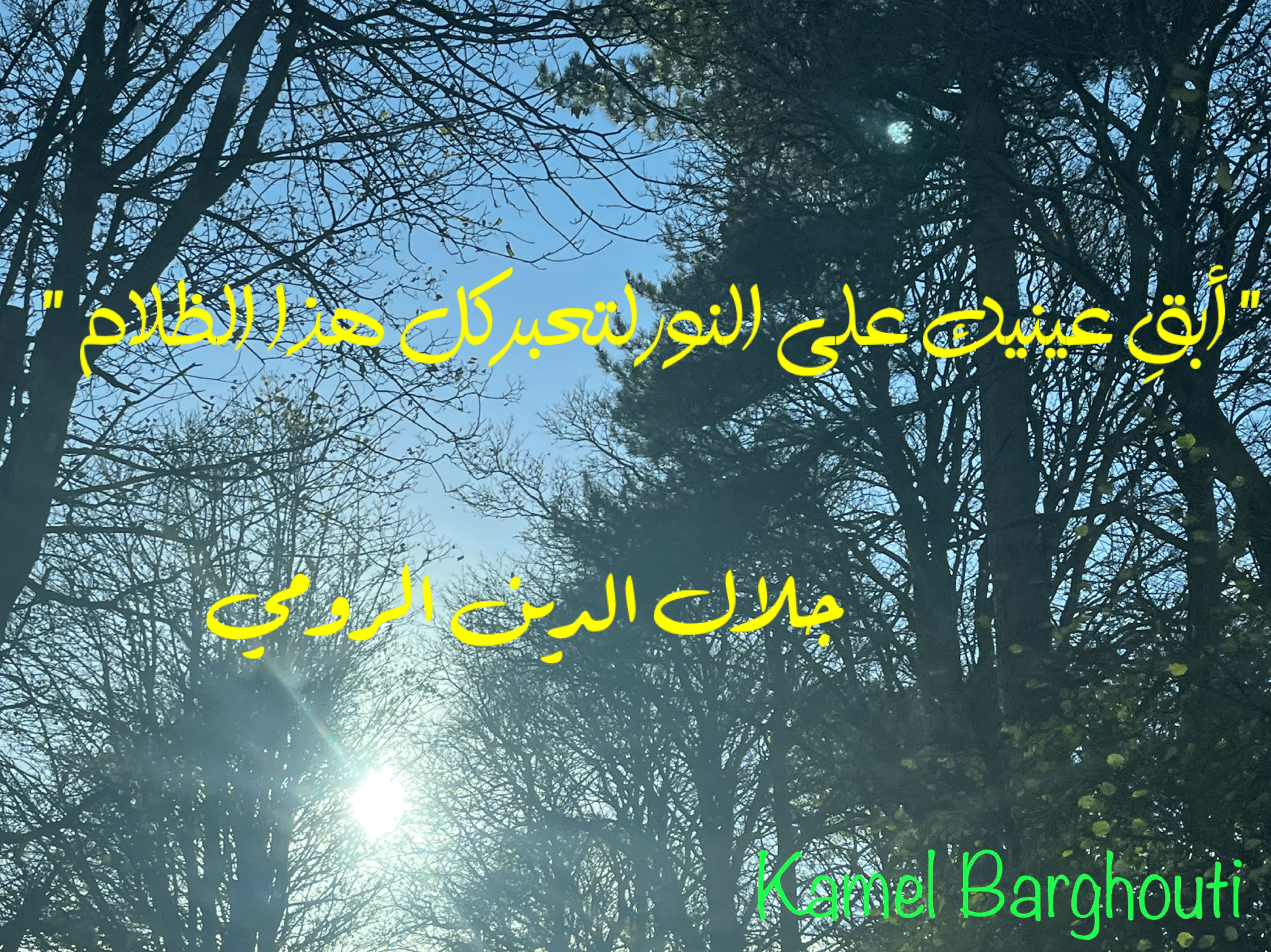 العزيمة والإصرار والثقة بالنفس – اقتباس 112