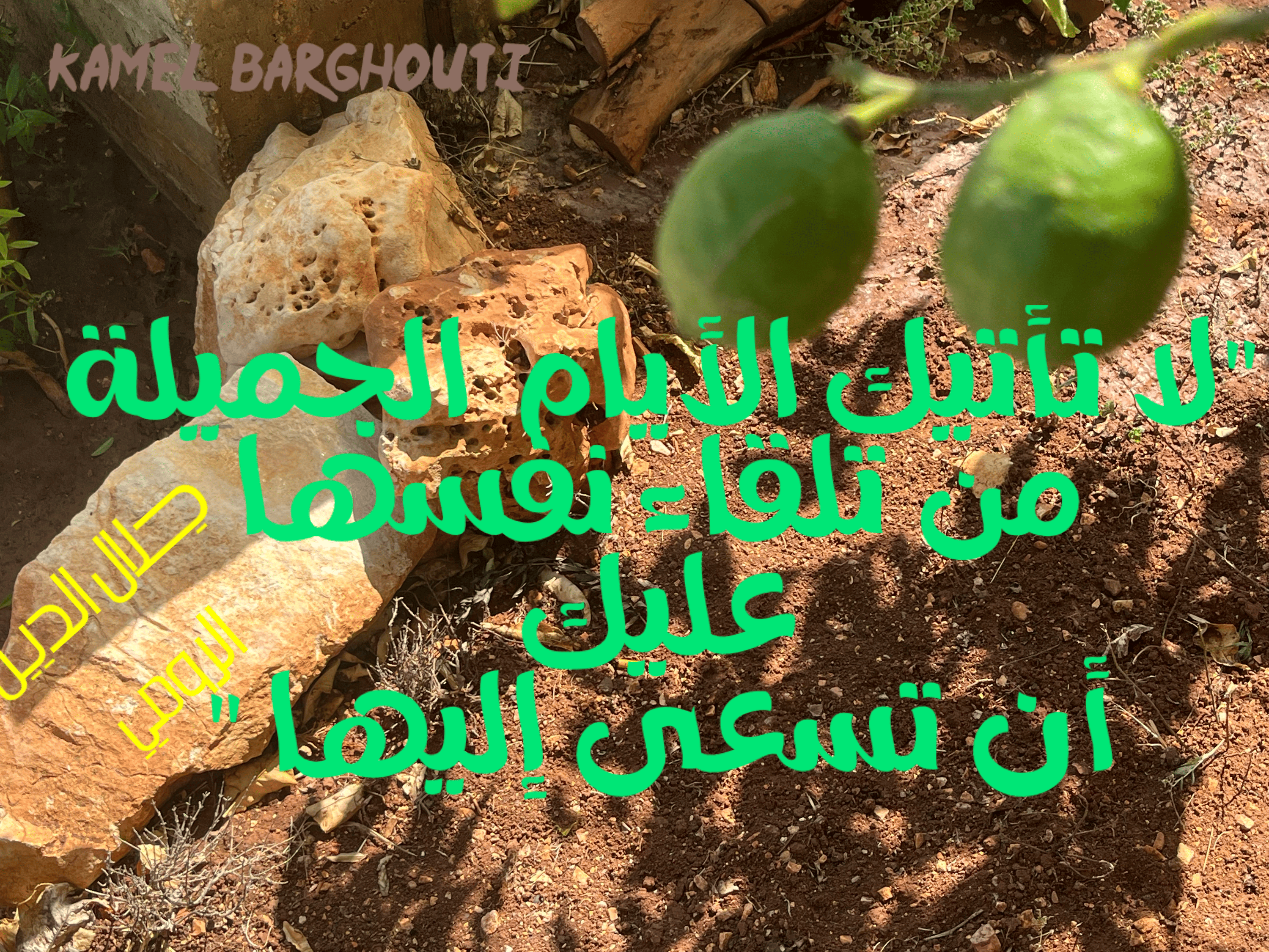 العزيمة والإصرار والثقة بالنفس – اقتباس 111