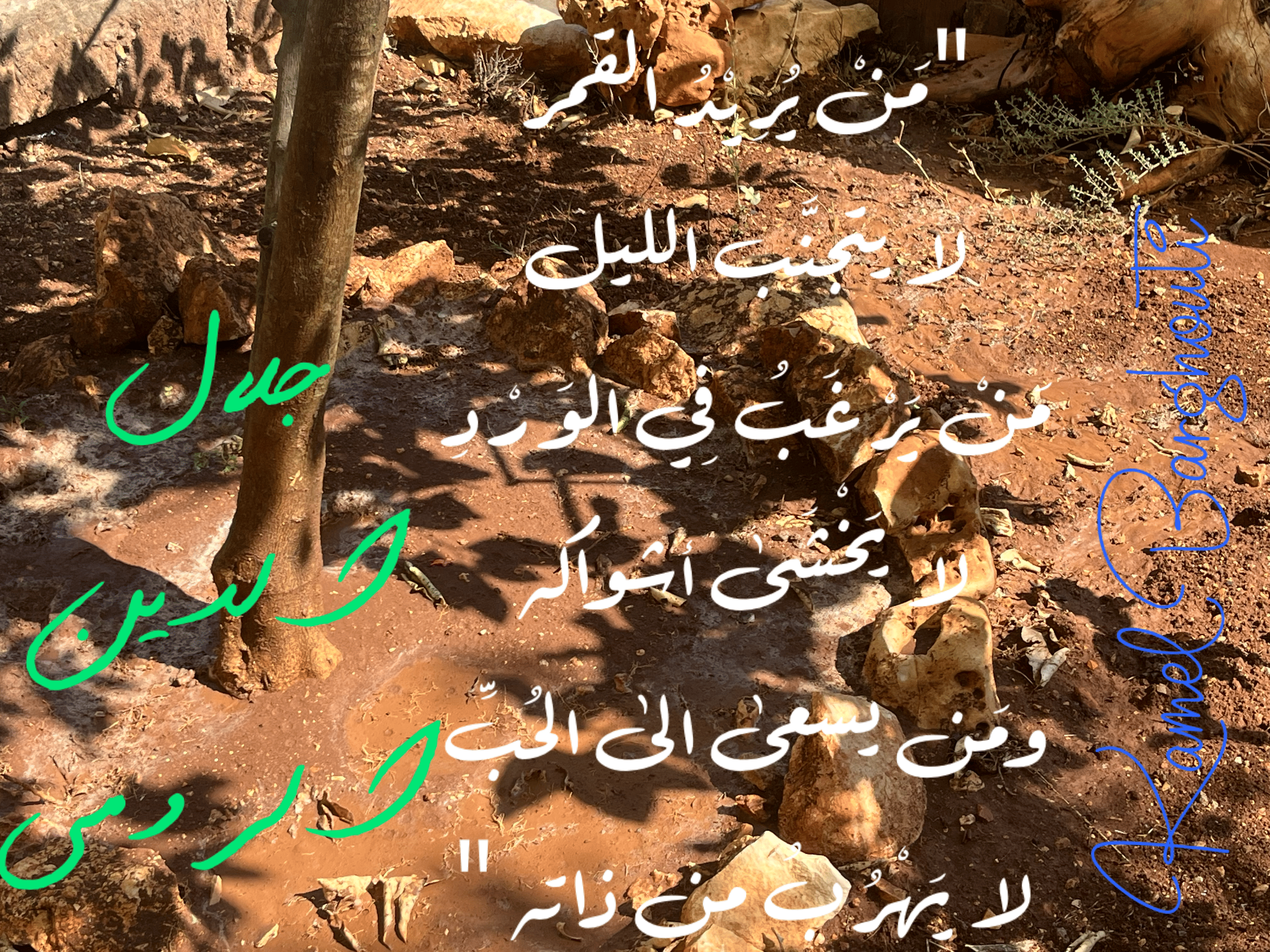 العزيمة والإصرار والثقة بالنفس – اقتباس 104