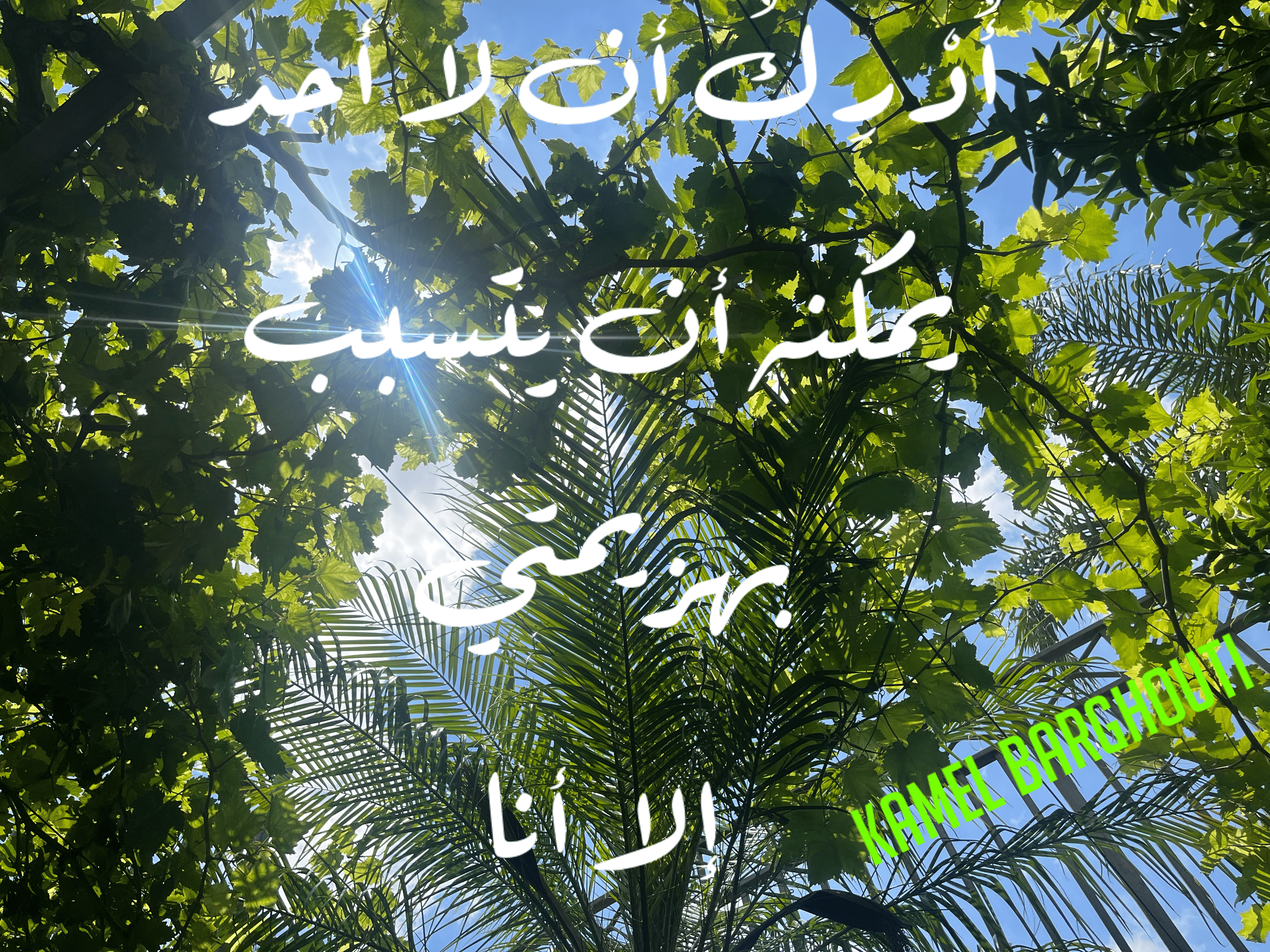 العزيمة والإصرار والثقة بالنفس – اقتباس 105