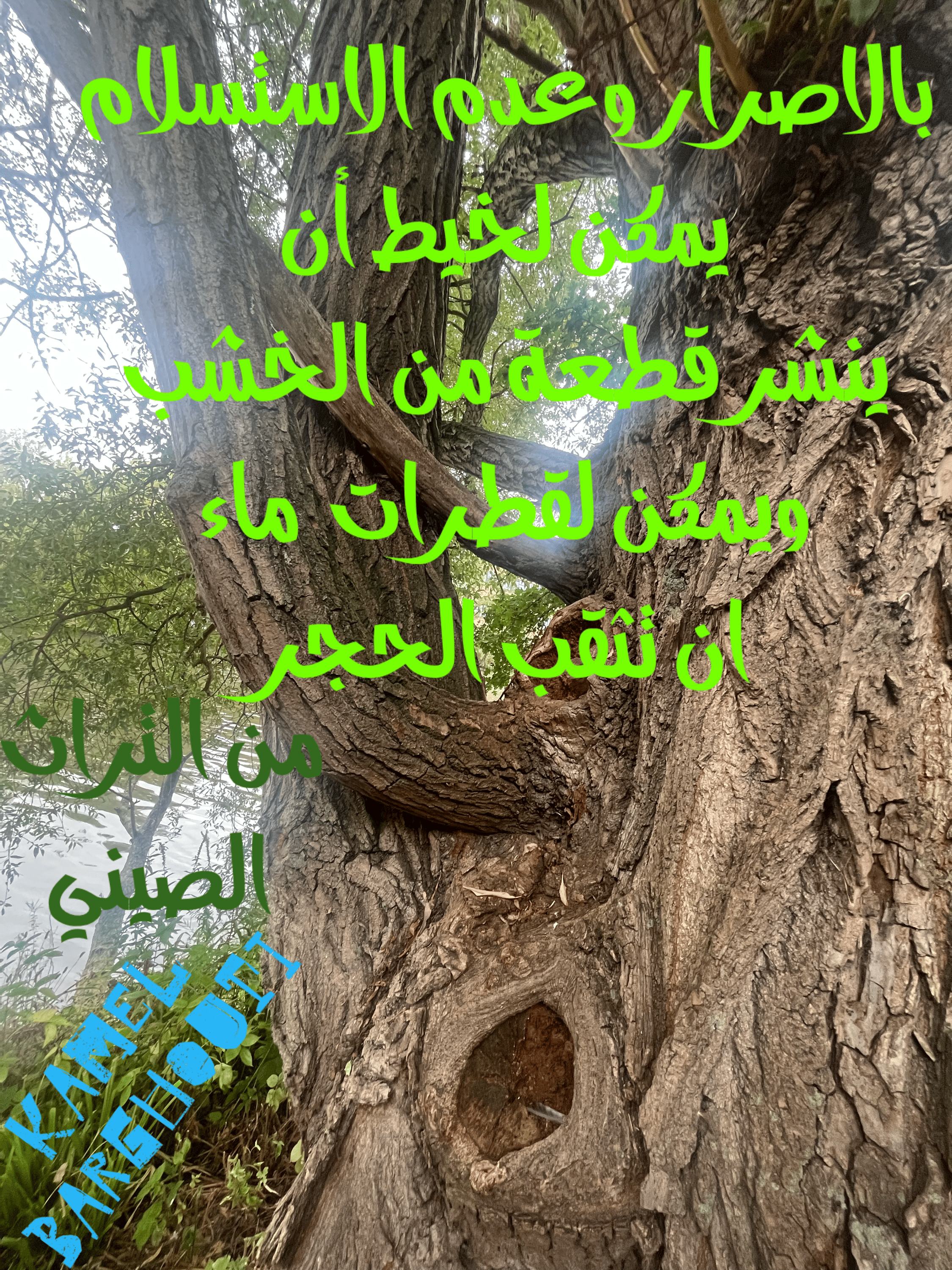 العزيمة والإصرار والثقة بالنفس – اقتباس 99