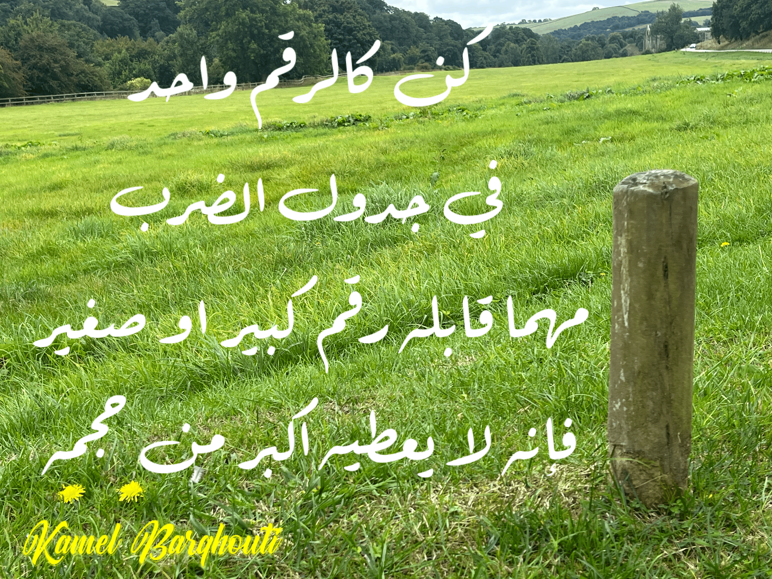 العزيمة والإصرار والثقة بالنفس – اقتباس 96