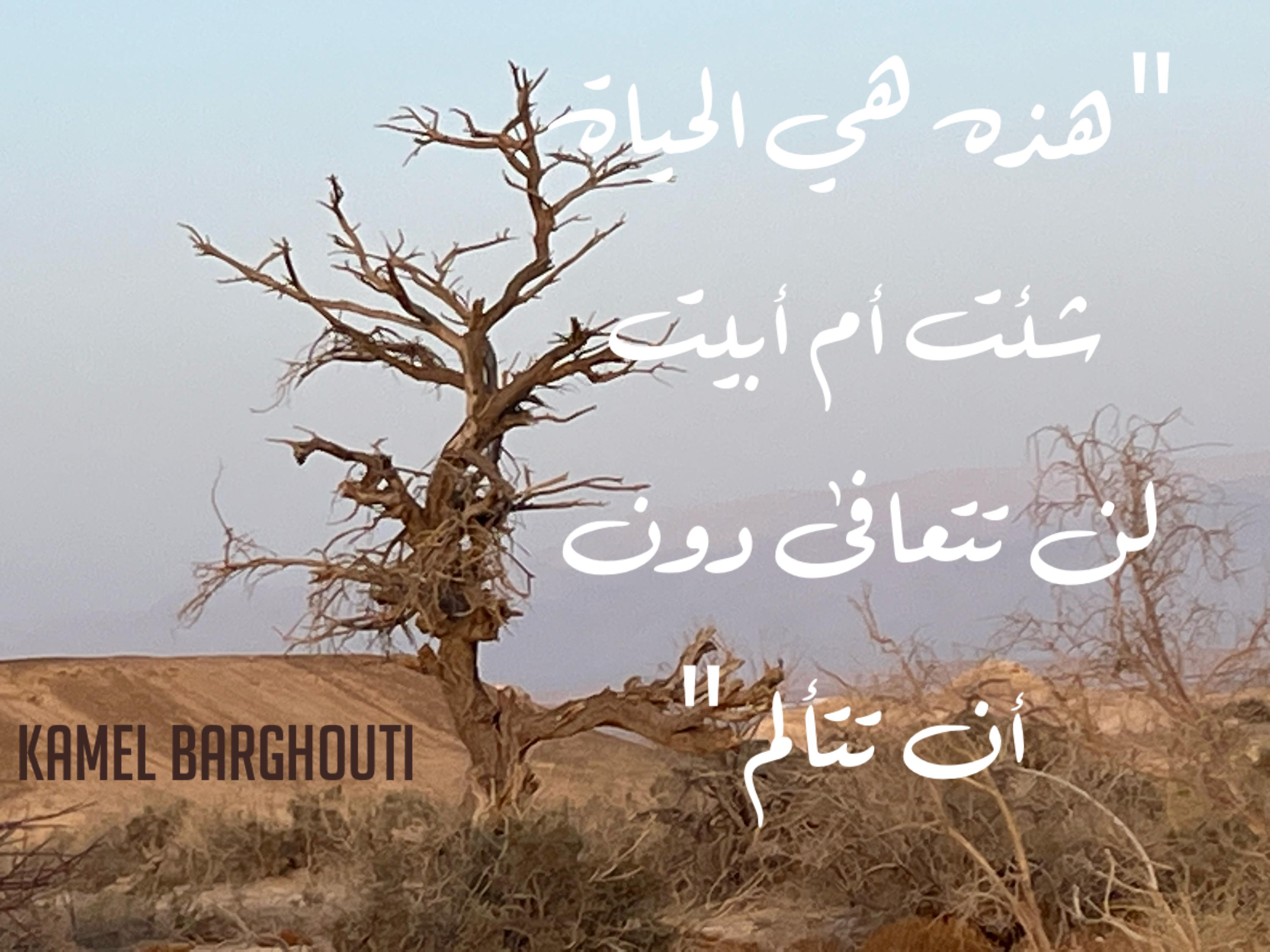 العزيمة والإصرار والثقة بالنفس – اقتباس 100