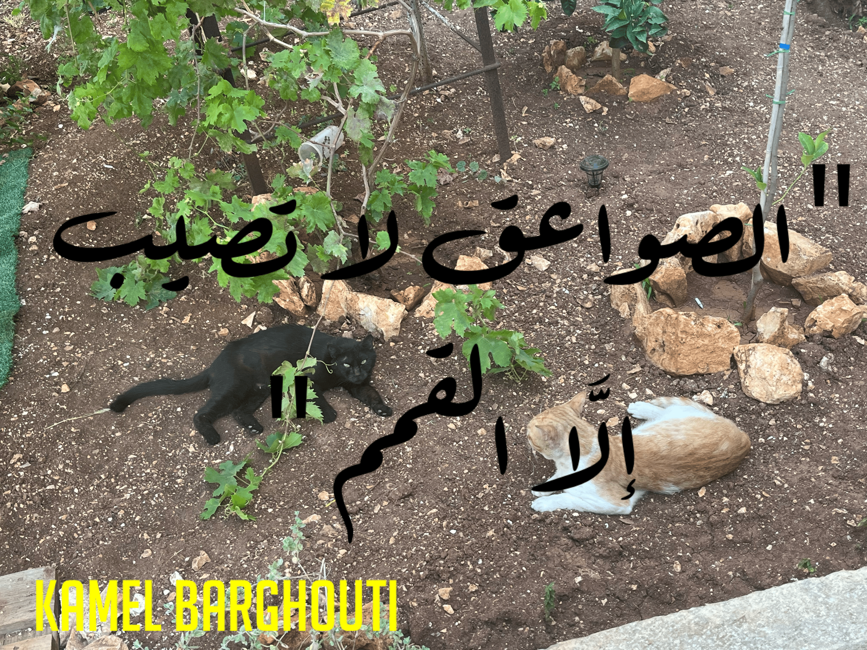 العزيمة والإصرار والثقة بالنفس – اقتباس 93