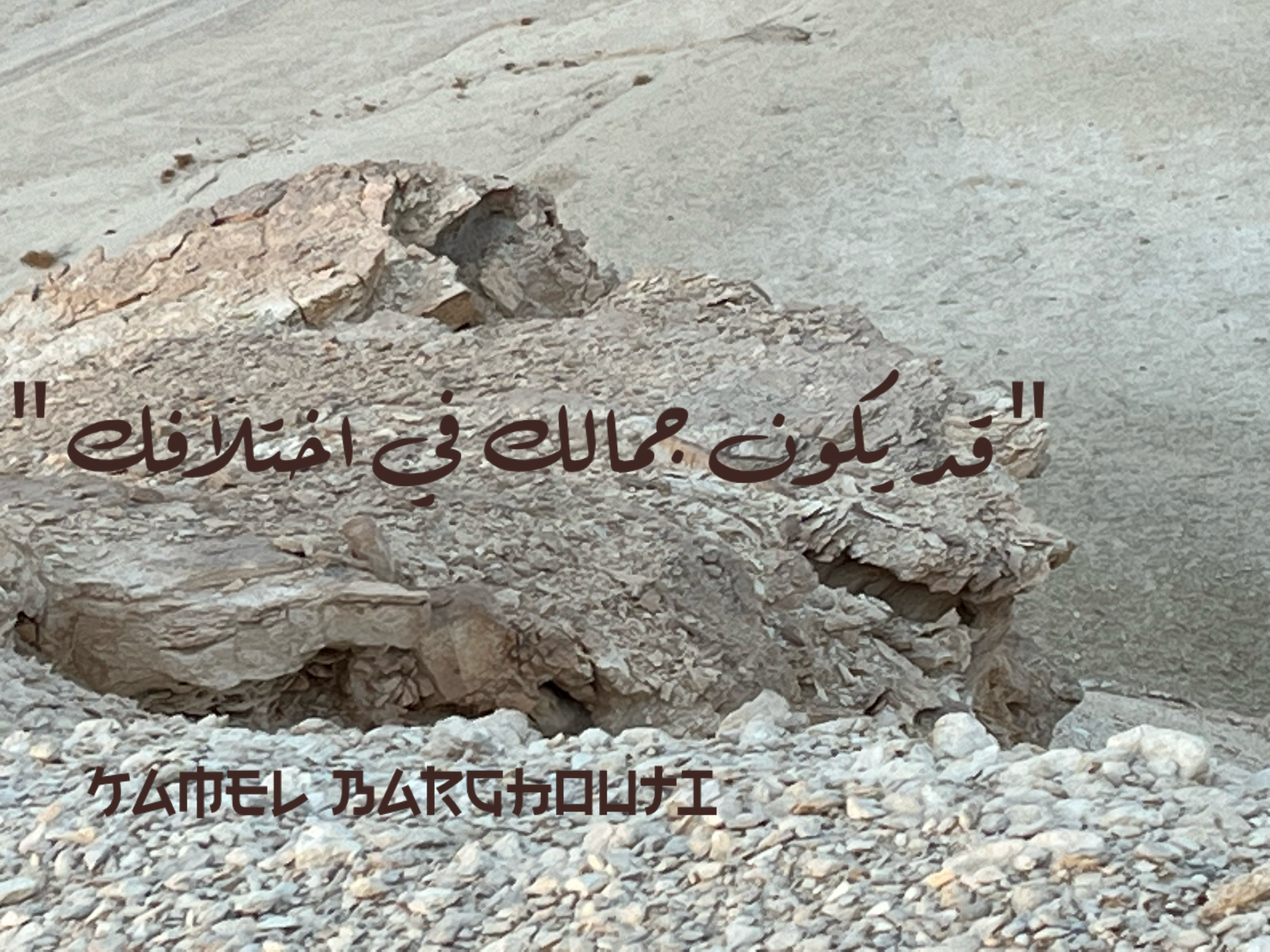 العزيمة والإصرار والثقة بالنفس – اقتباس 78