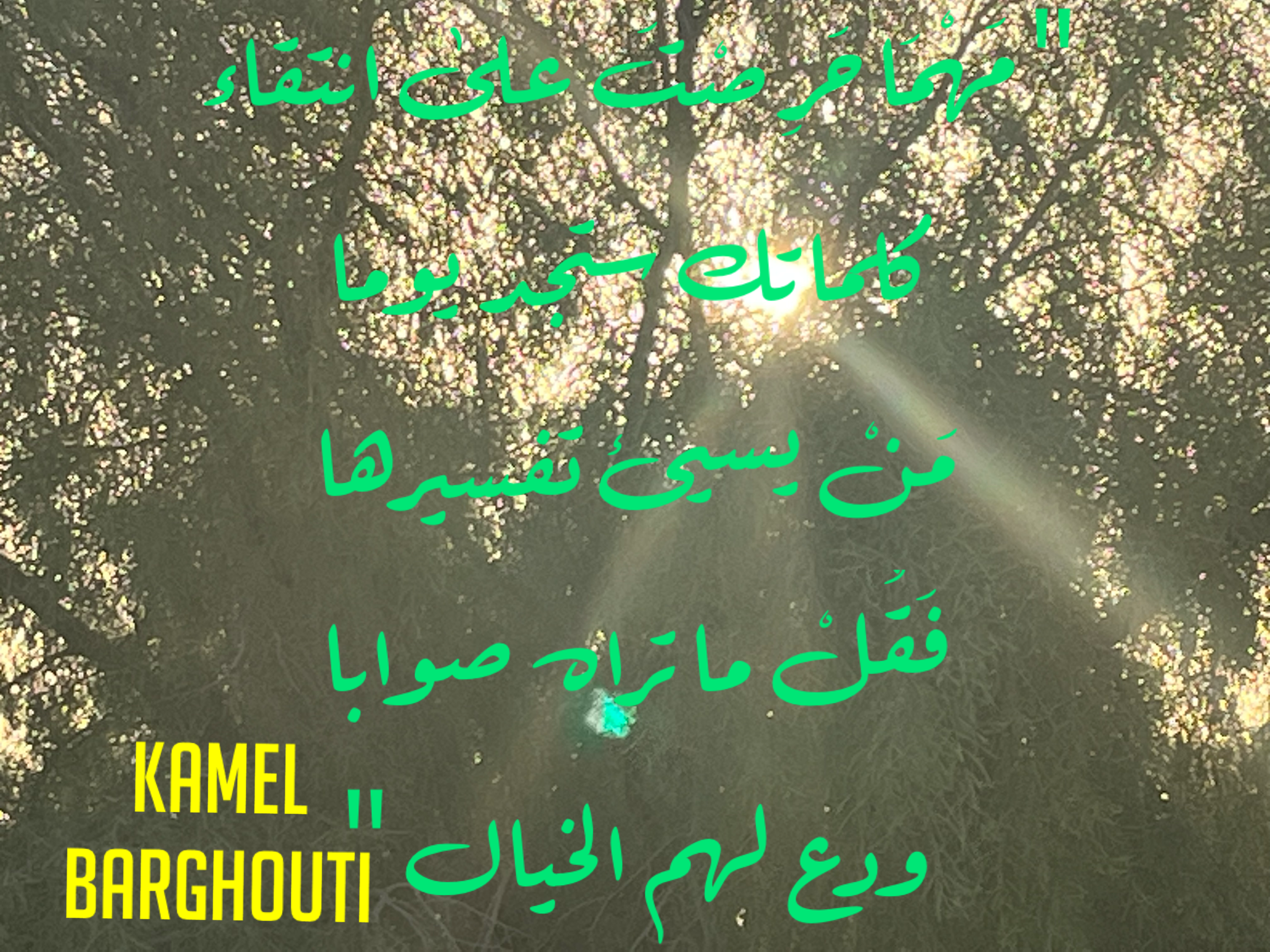 العزيمة والإصرار والثقة بالنفس – اقتباس 66