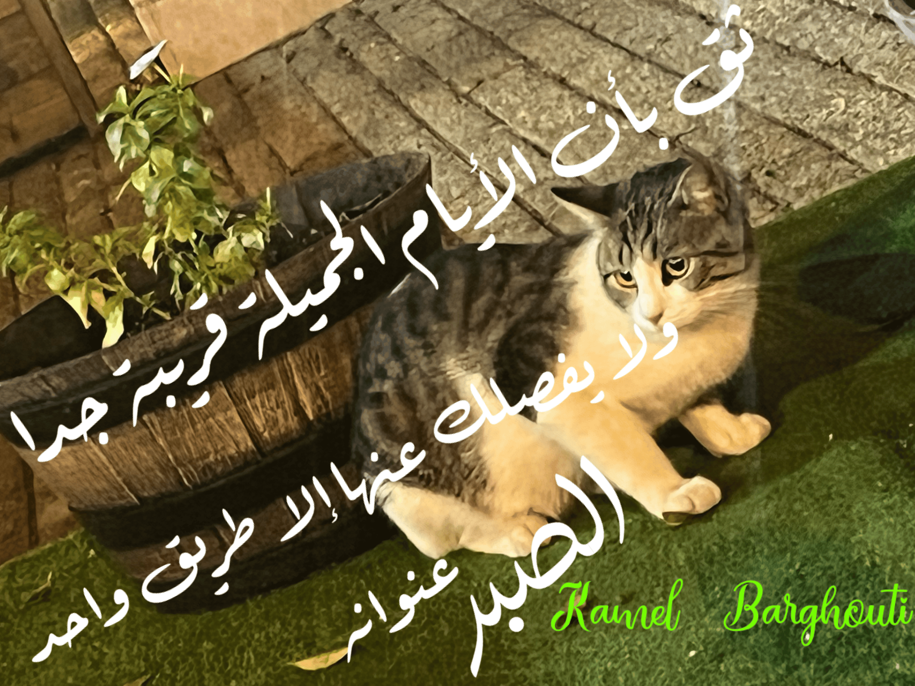 القناعة والصبر – اقتباس 155