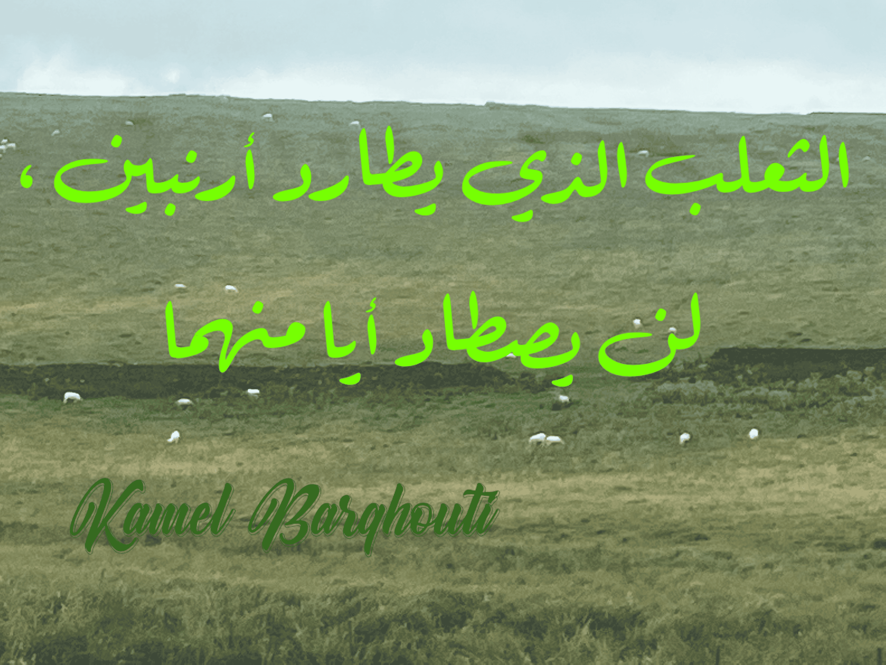 القناعة والصبر – اقتباس 140