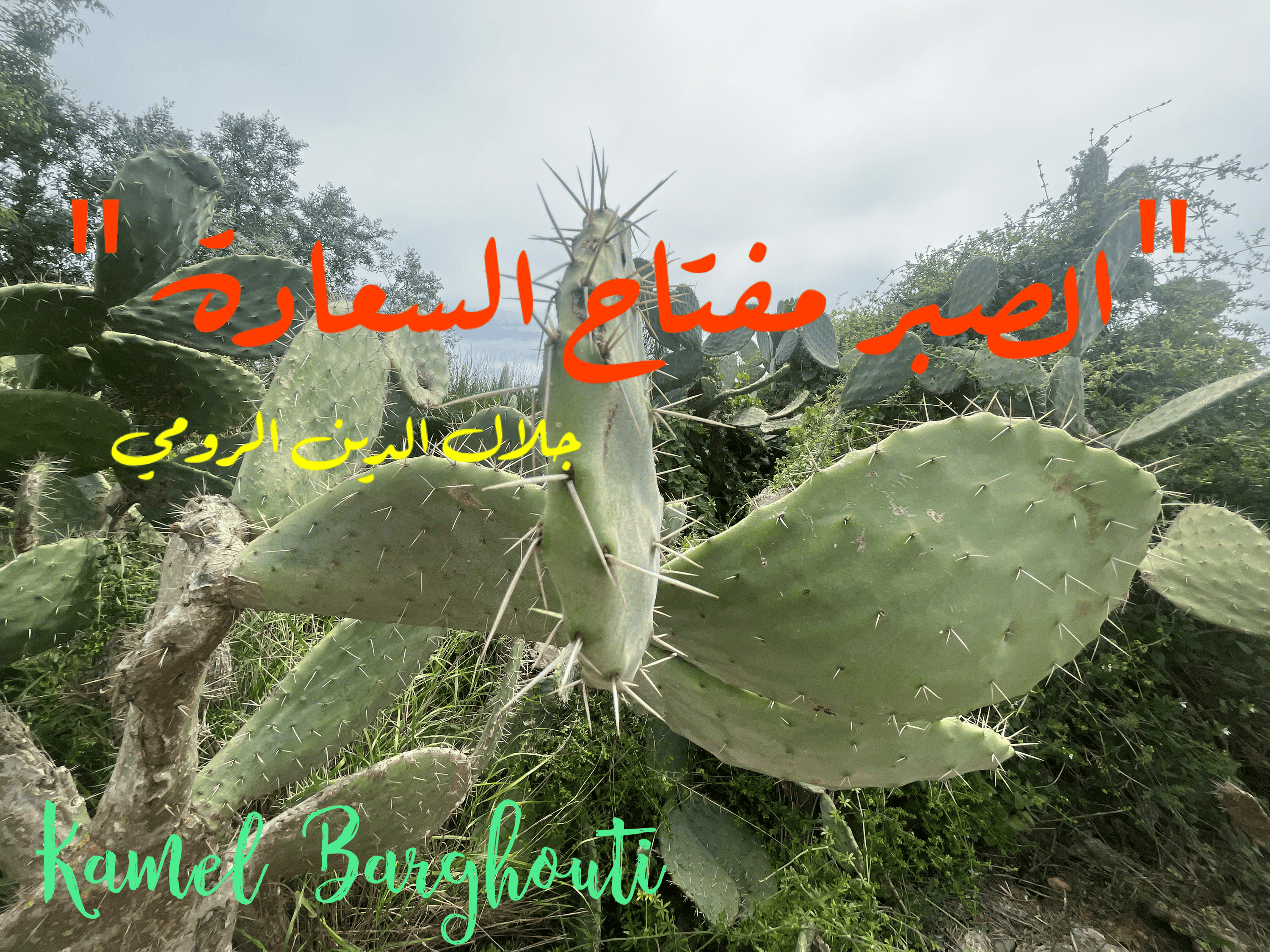 القناعة والصبر – اقتباس 116