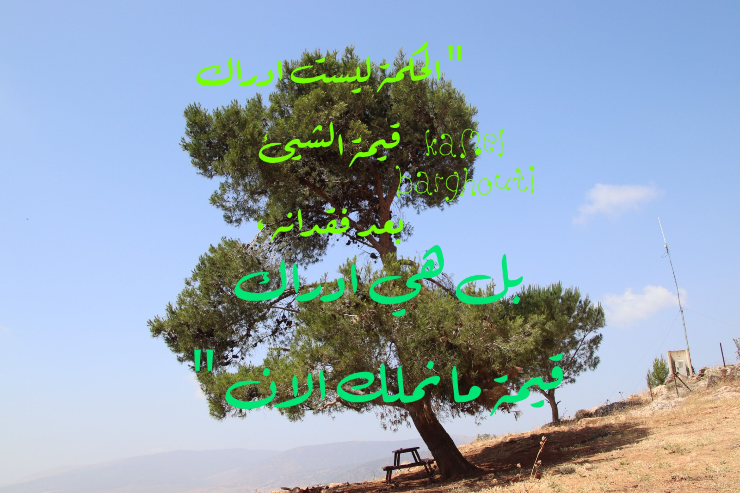 القناعة والصبر – اقتباس 111