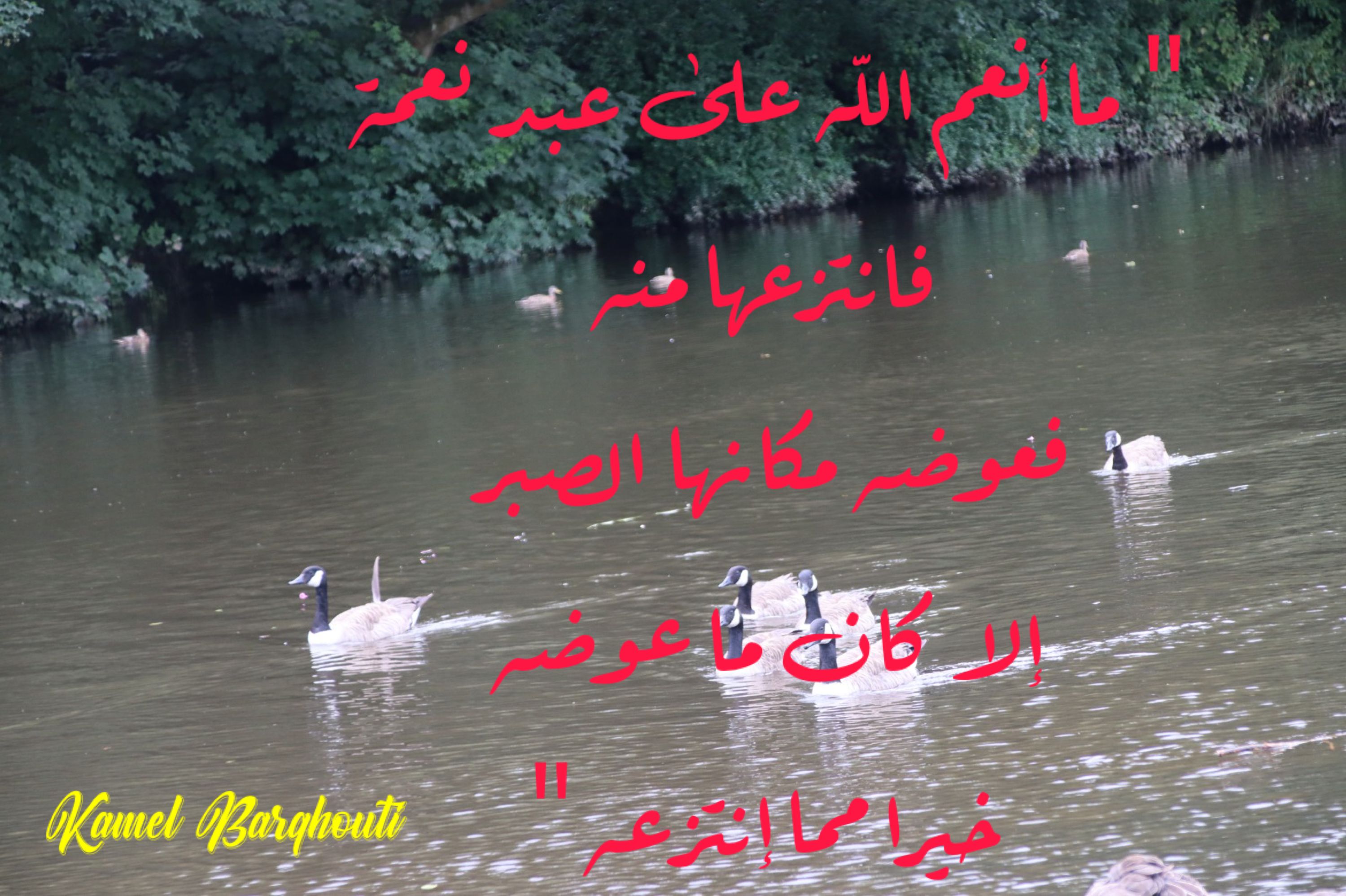 القناعة والصبر – اقتباس 59