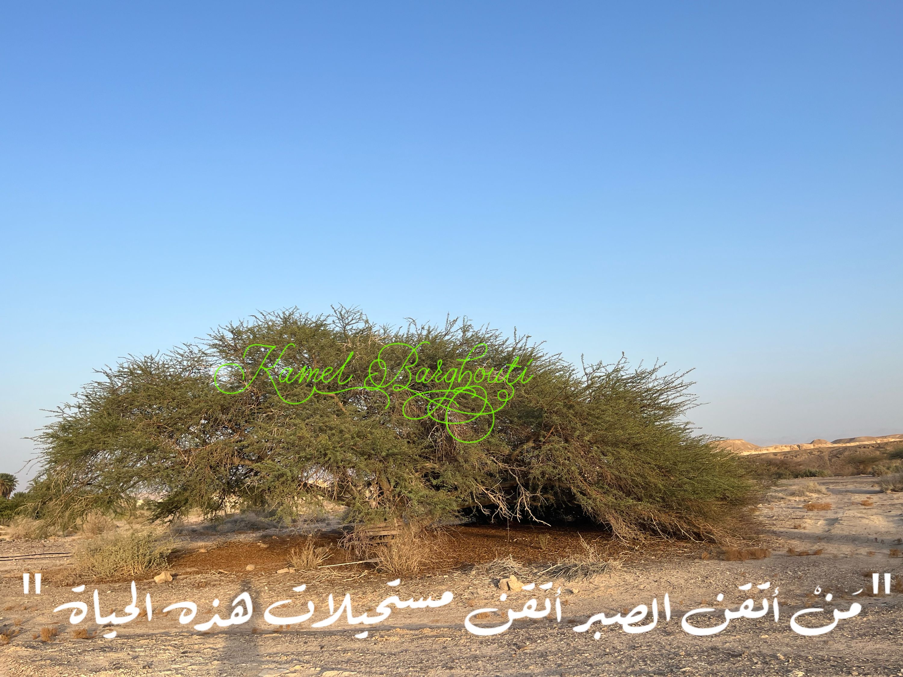 القناعة والصبر – اقتباس 50