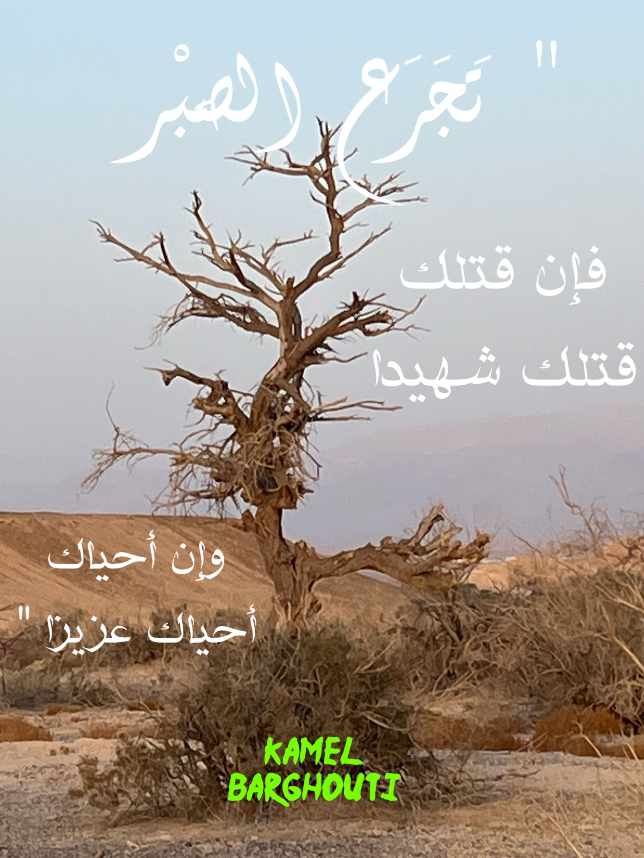 القناعة والصبر – اقتباس 49