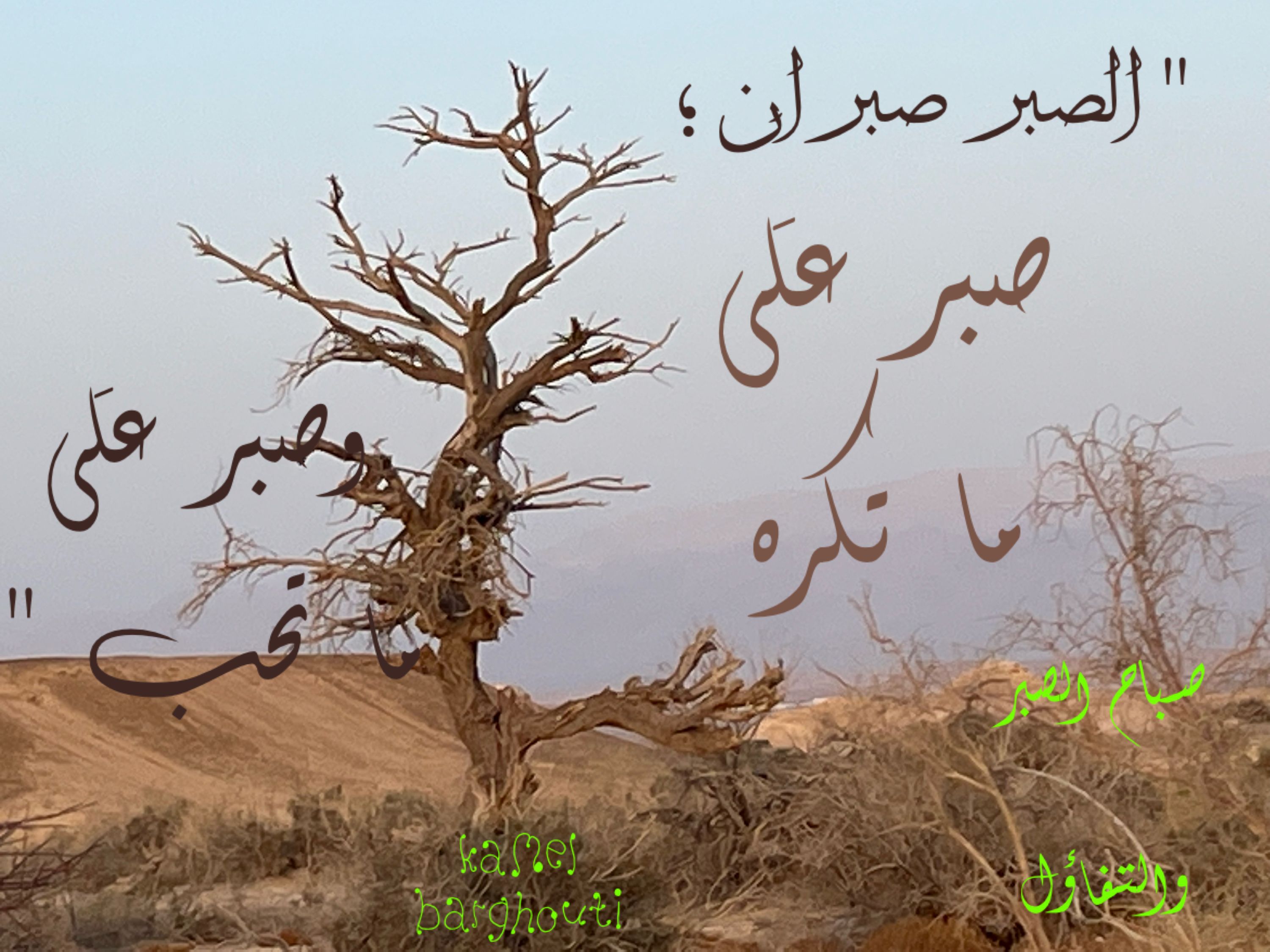 القناعة والصبر – اقتباس 48