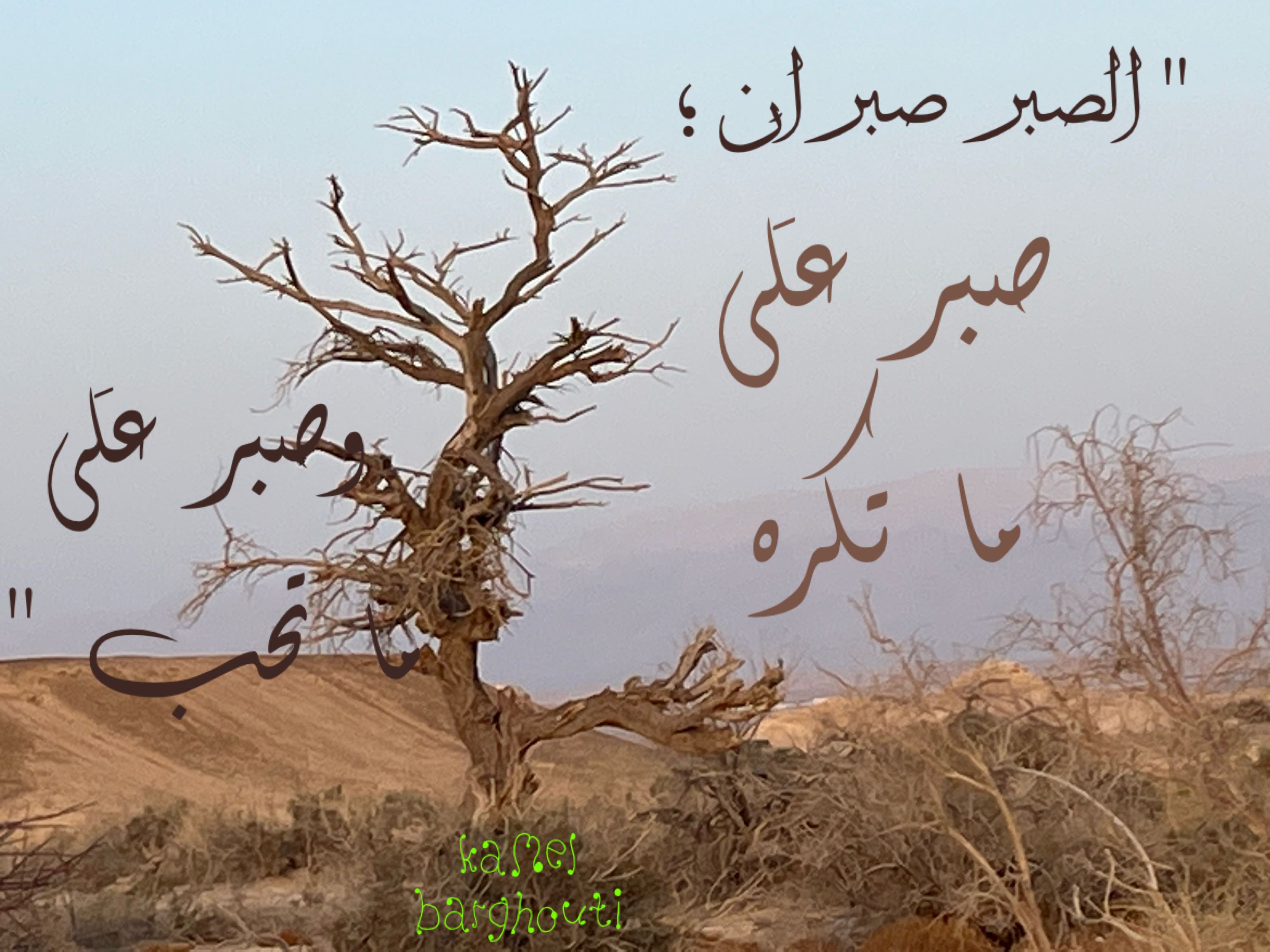 القناعة والصبر – اقتباس 51