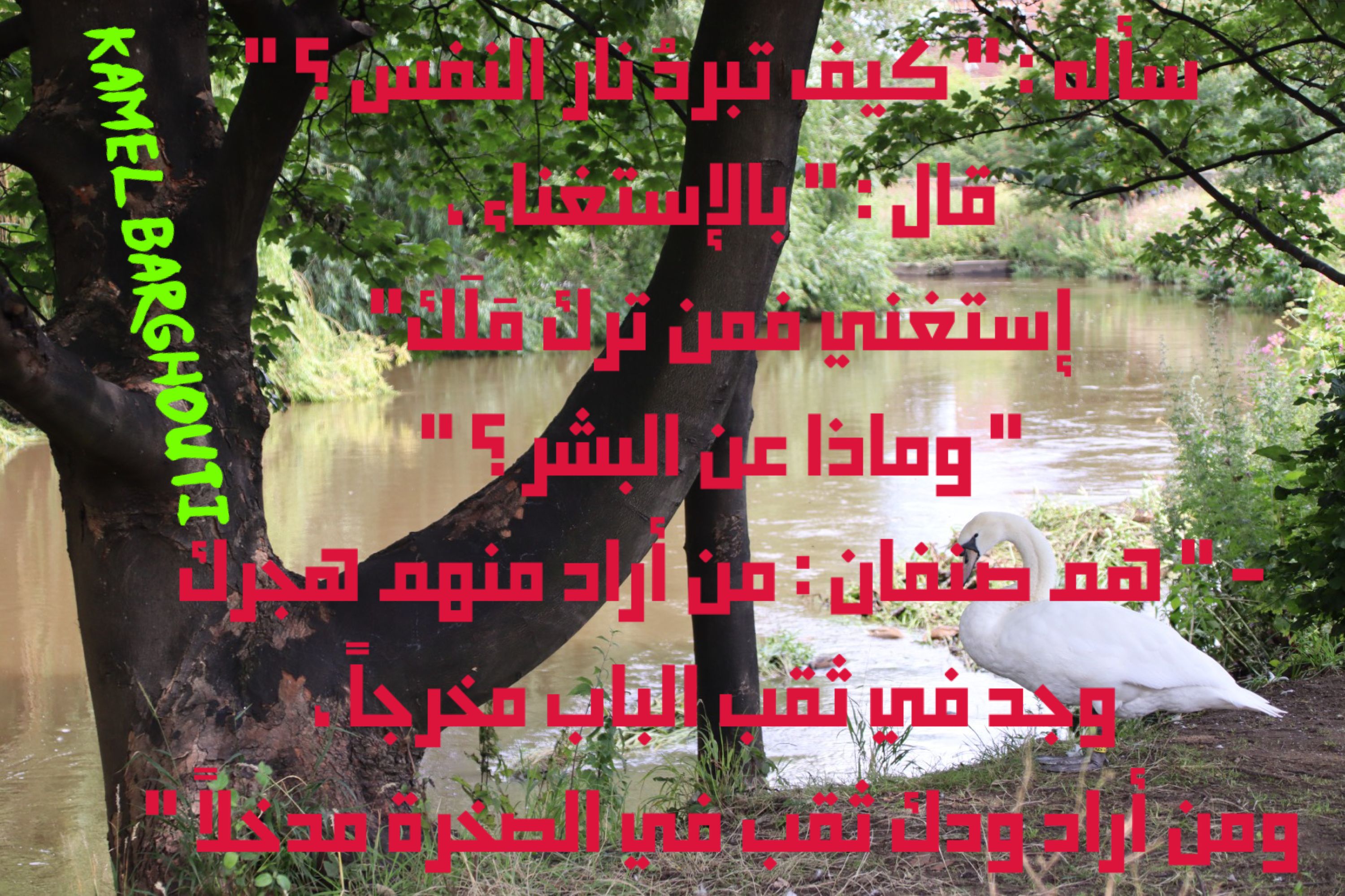 القناعة والصبر – اقتباس 31