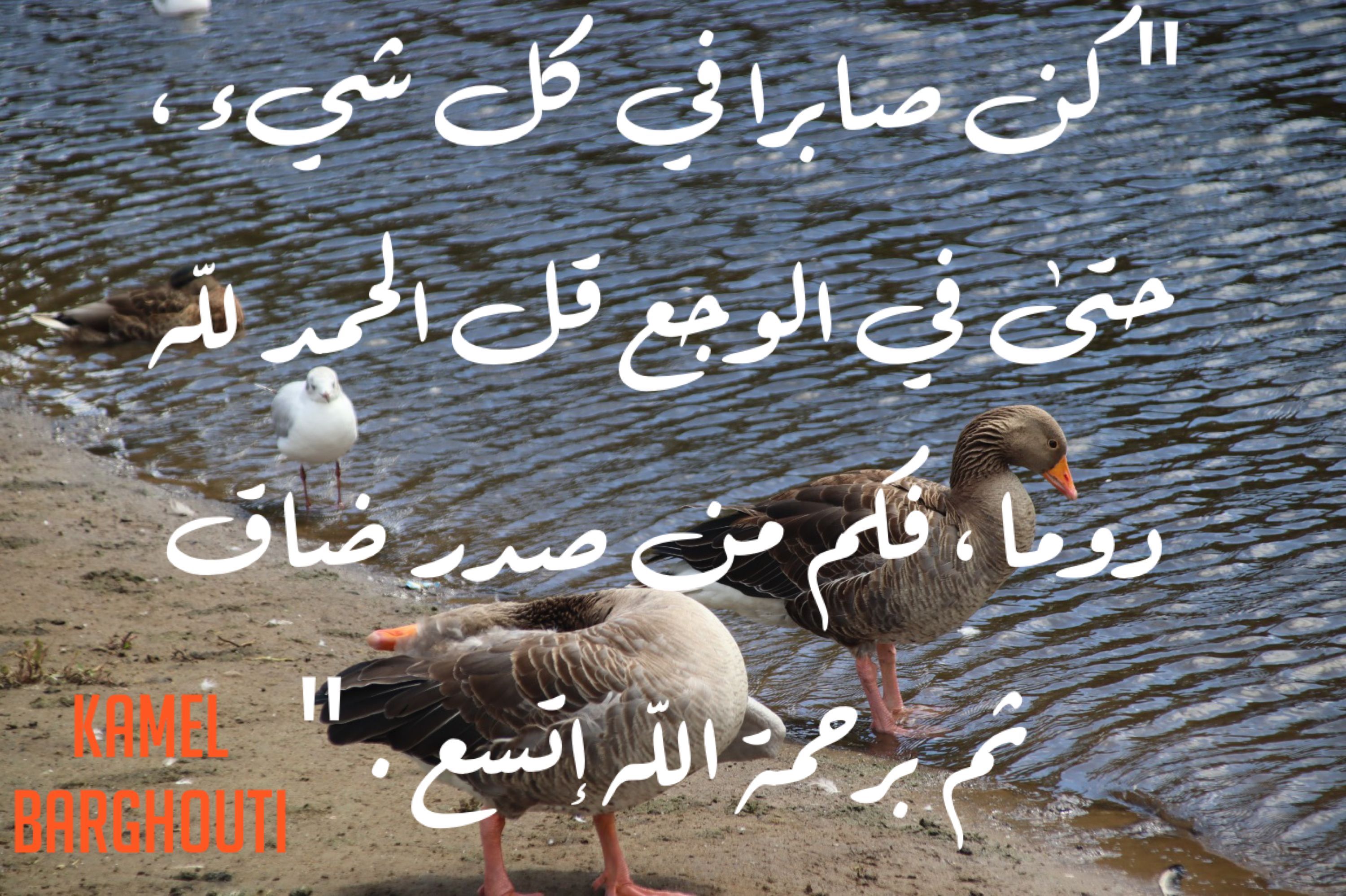 القناعة والصبر – اقتباس 32