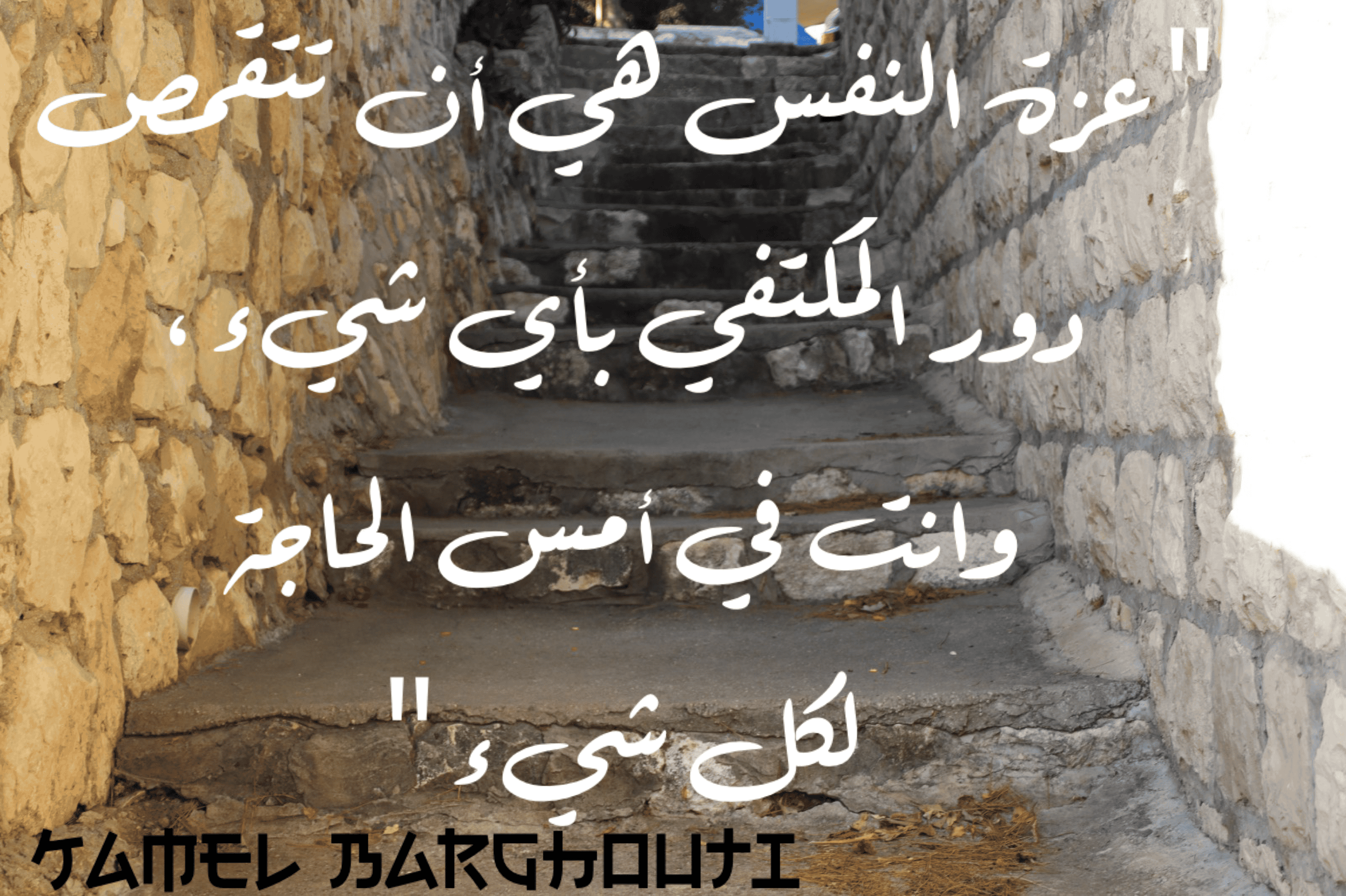 القناعة والصبر – اقتباس 18