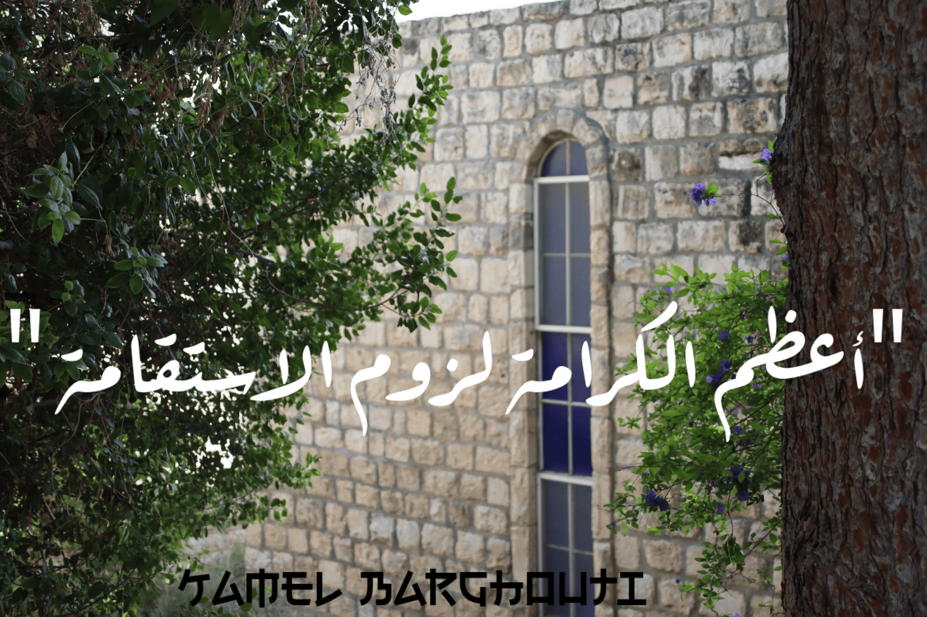 القناعة والصبر – اقتباس 17