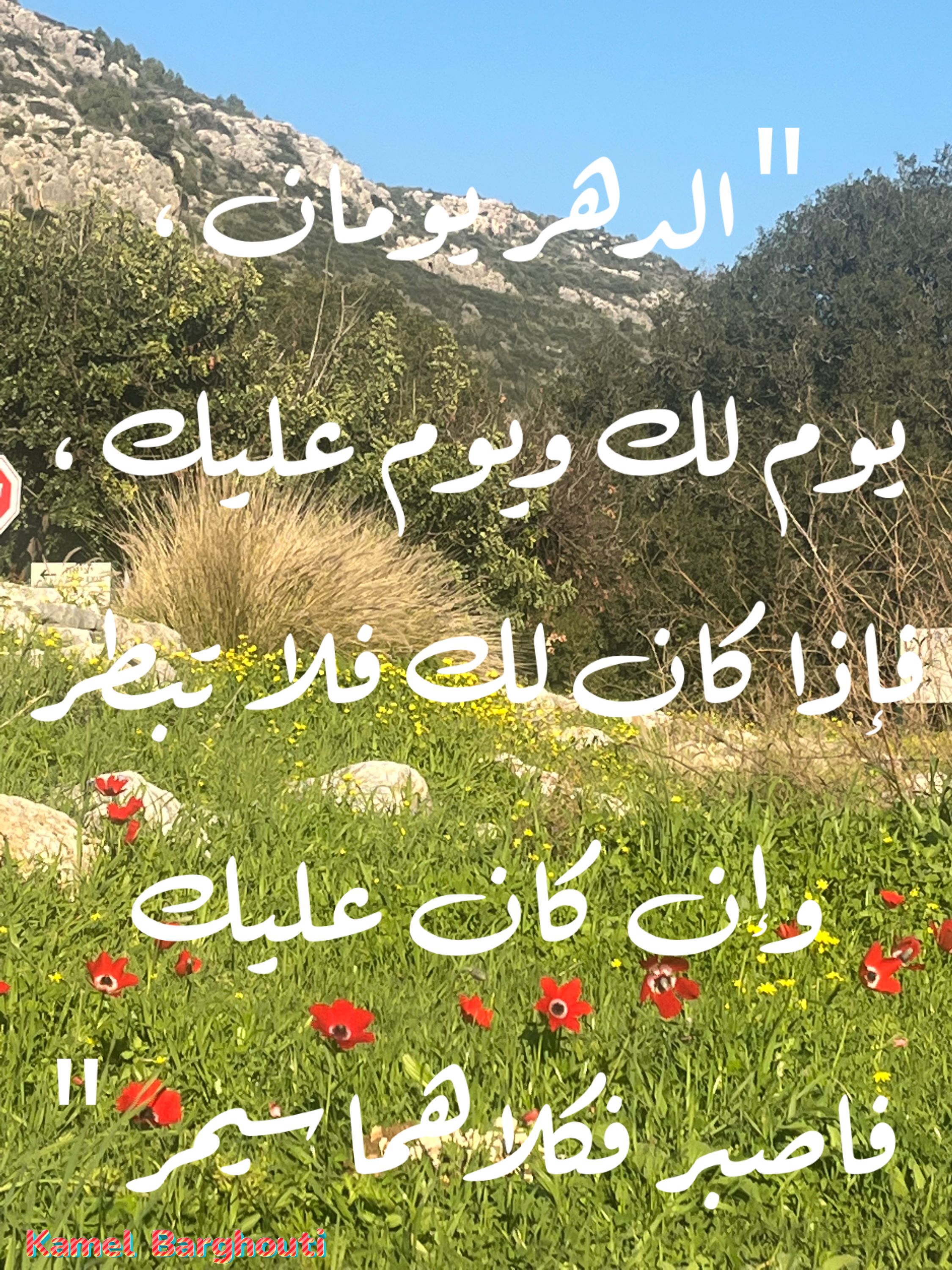 القناعة والصبر – اقتباس 2