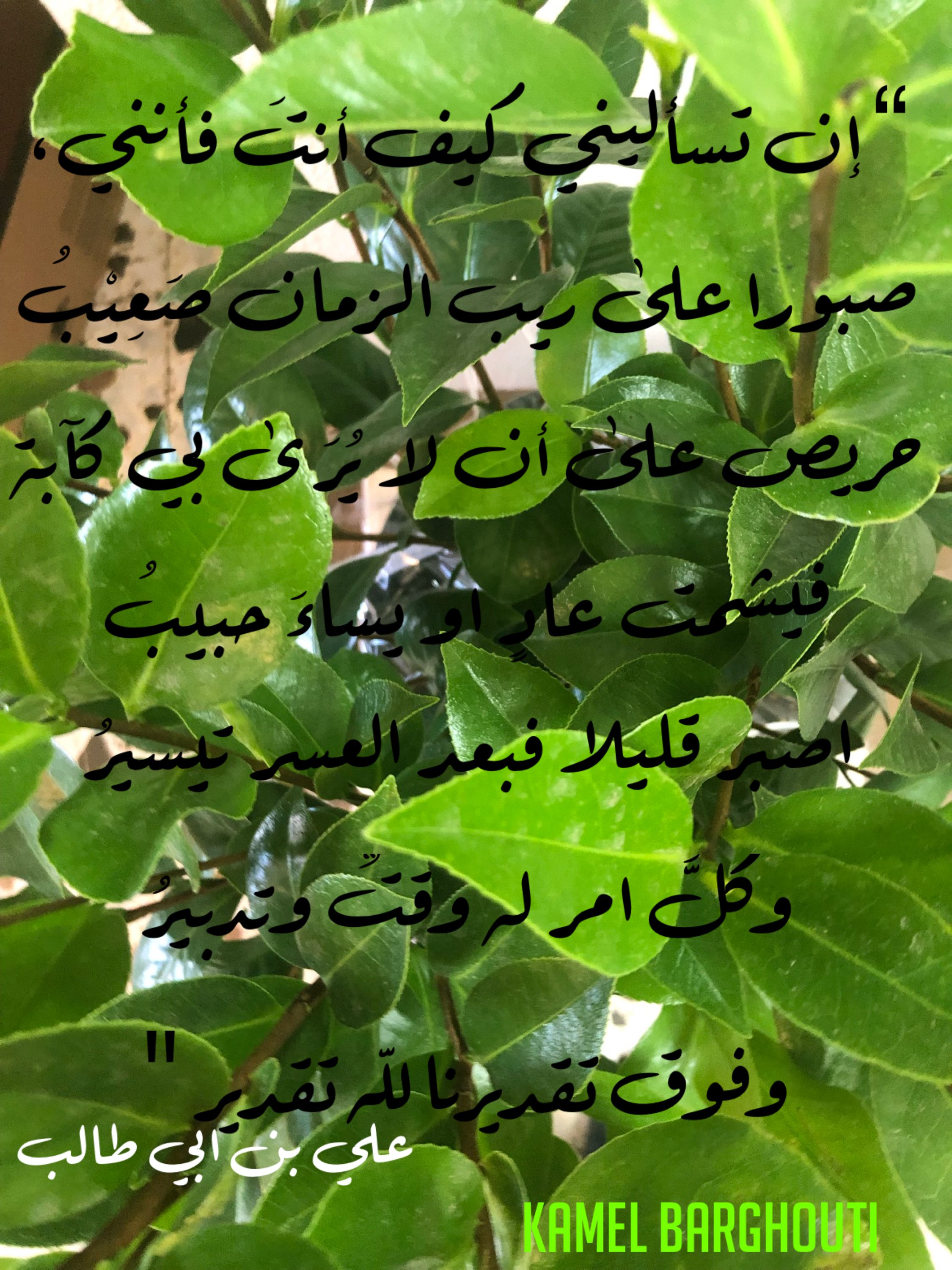 القناعة والصبر – اقتباس 4
