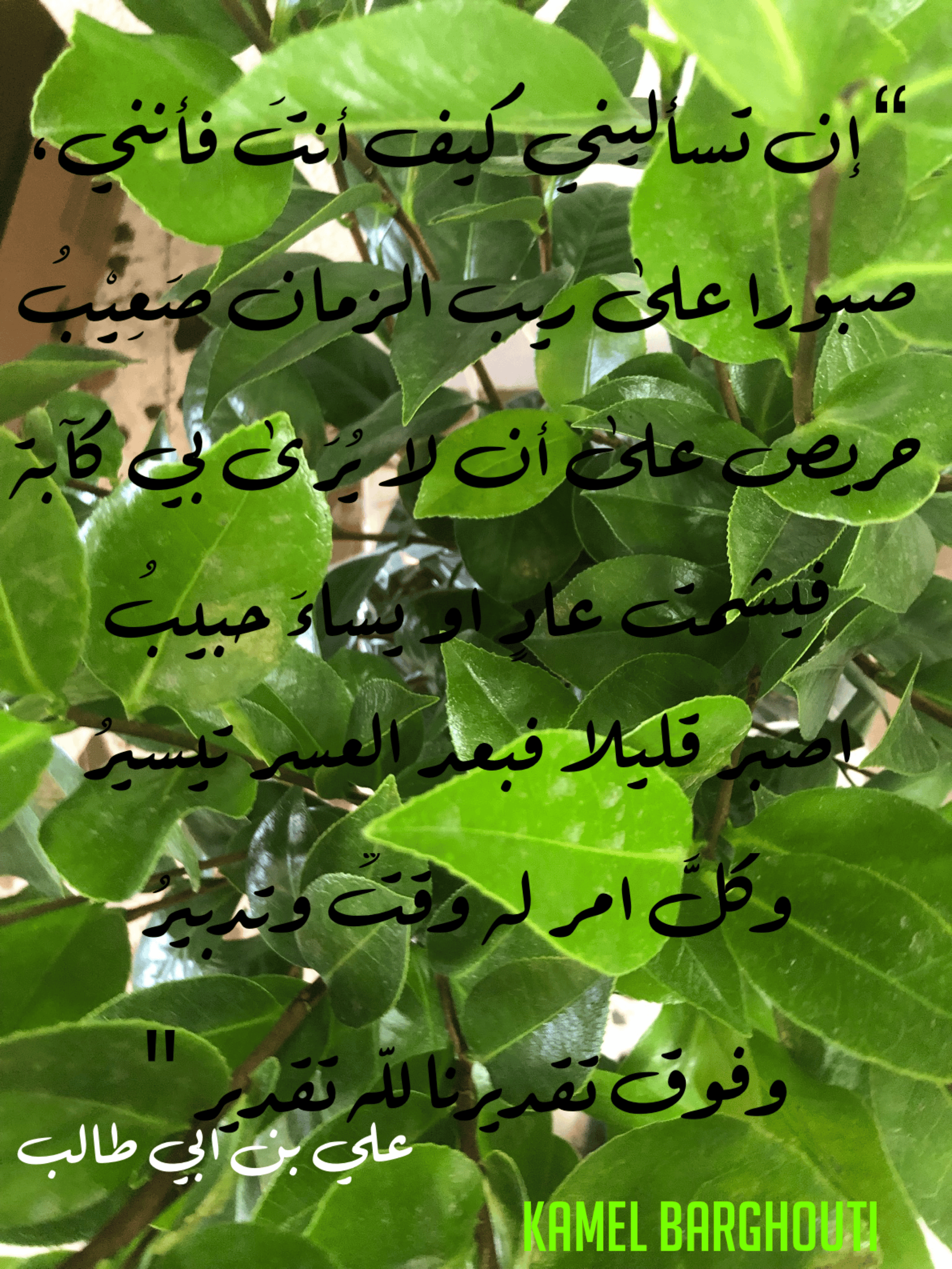 القناعة والصبر – اقتباس 3