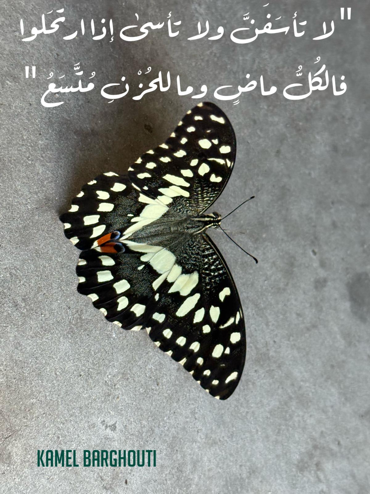 القناعة والصبر – اقتباس 15