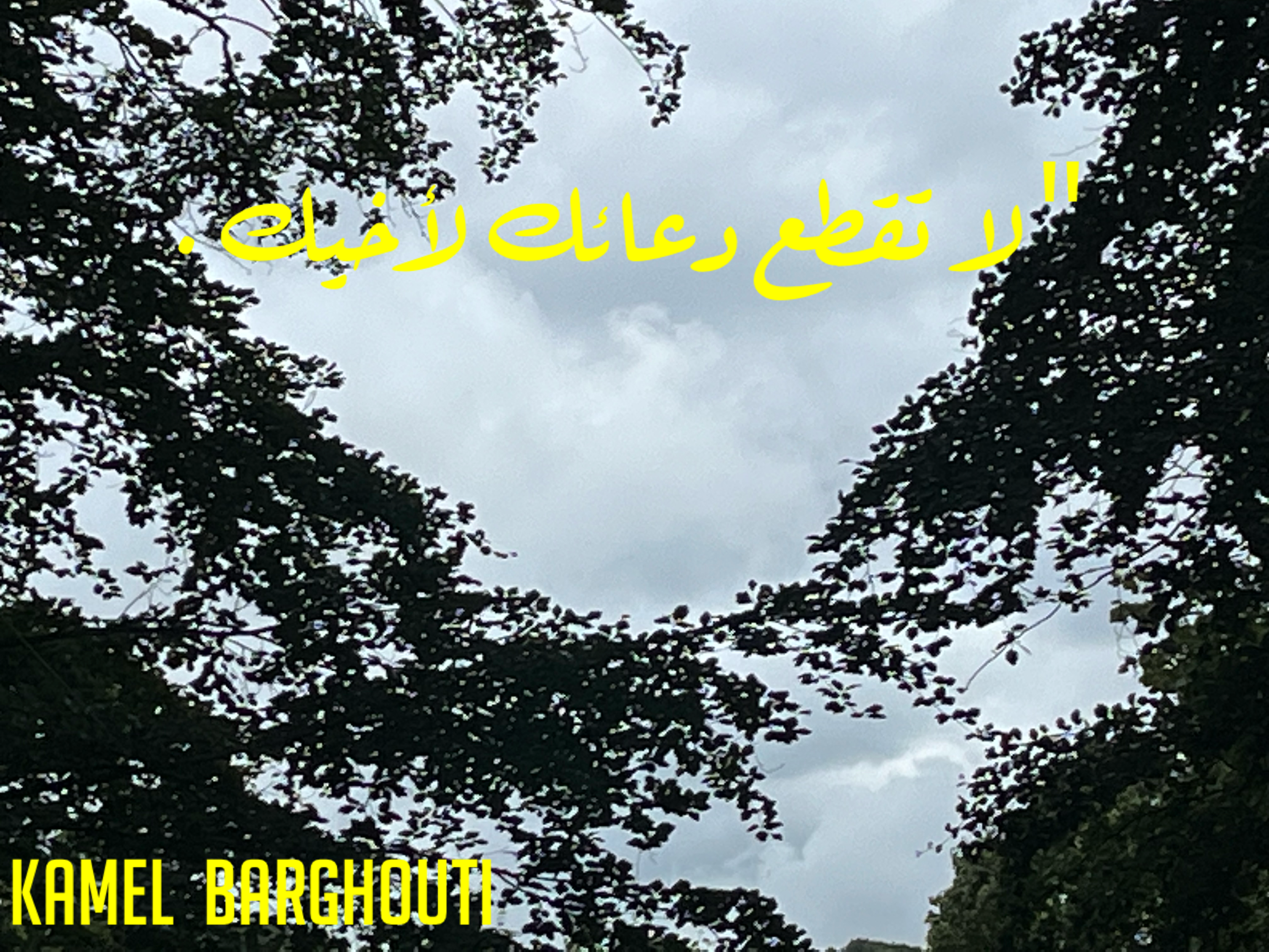 عائلة – اقتباس 52