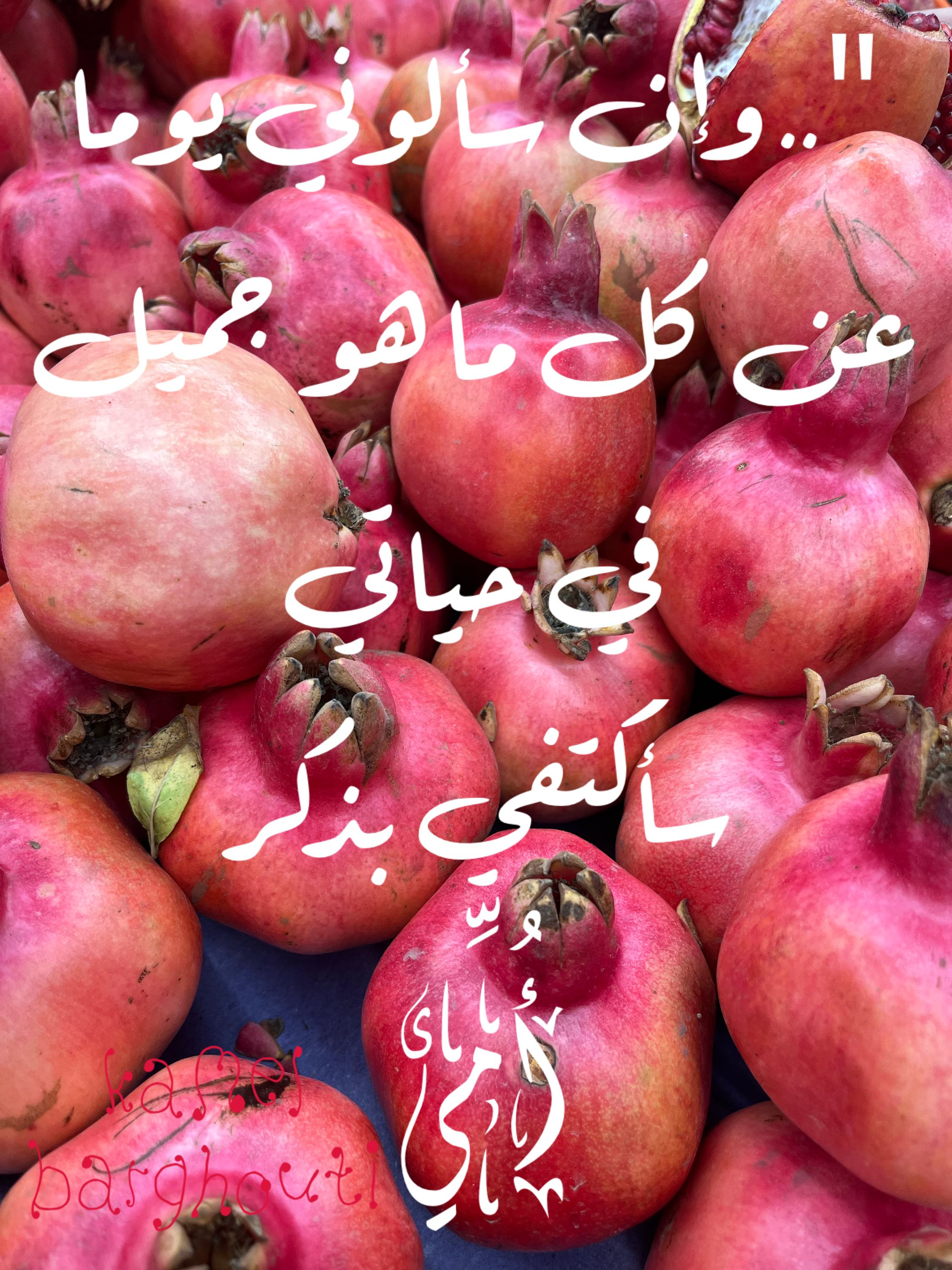 عائلة – اقتباس 51