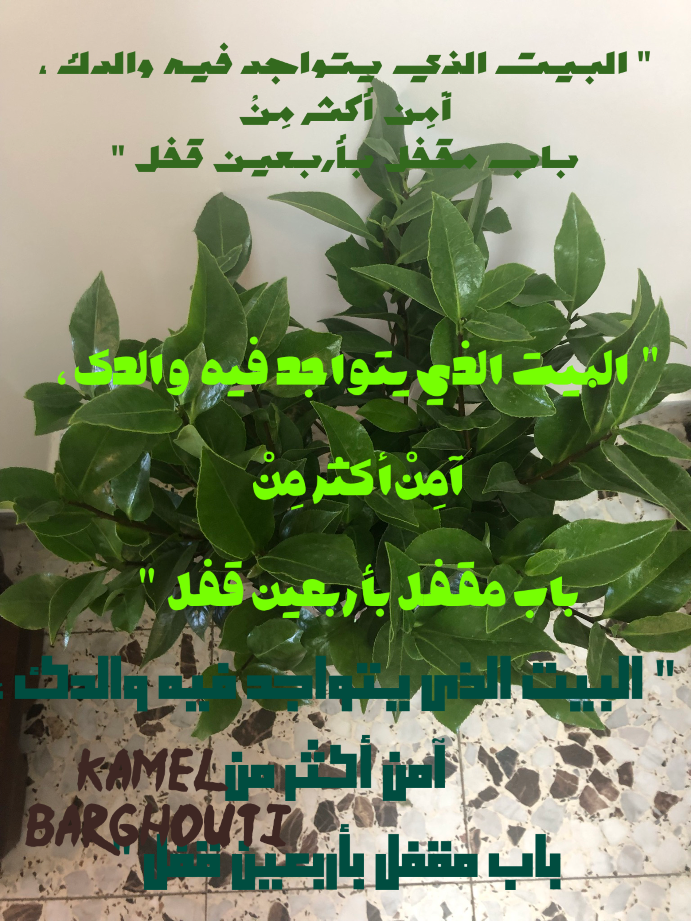 عائلة – اقتباس 43
