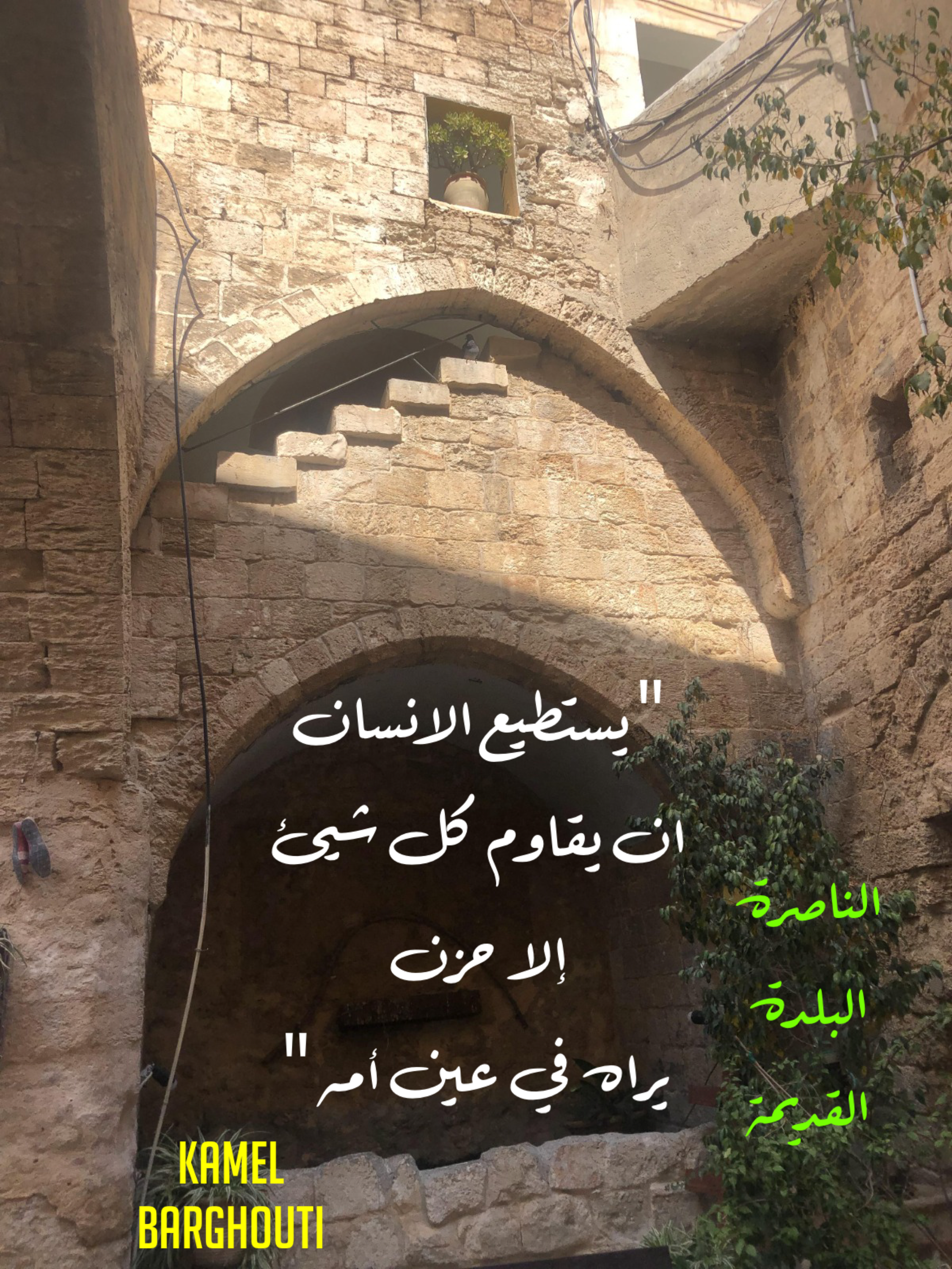 عائلة – اقتباس 45