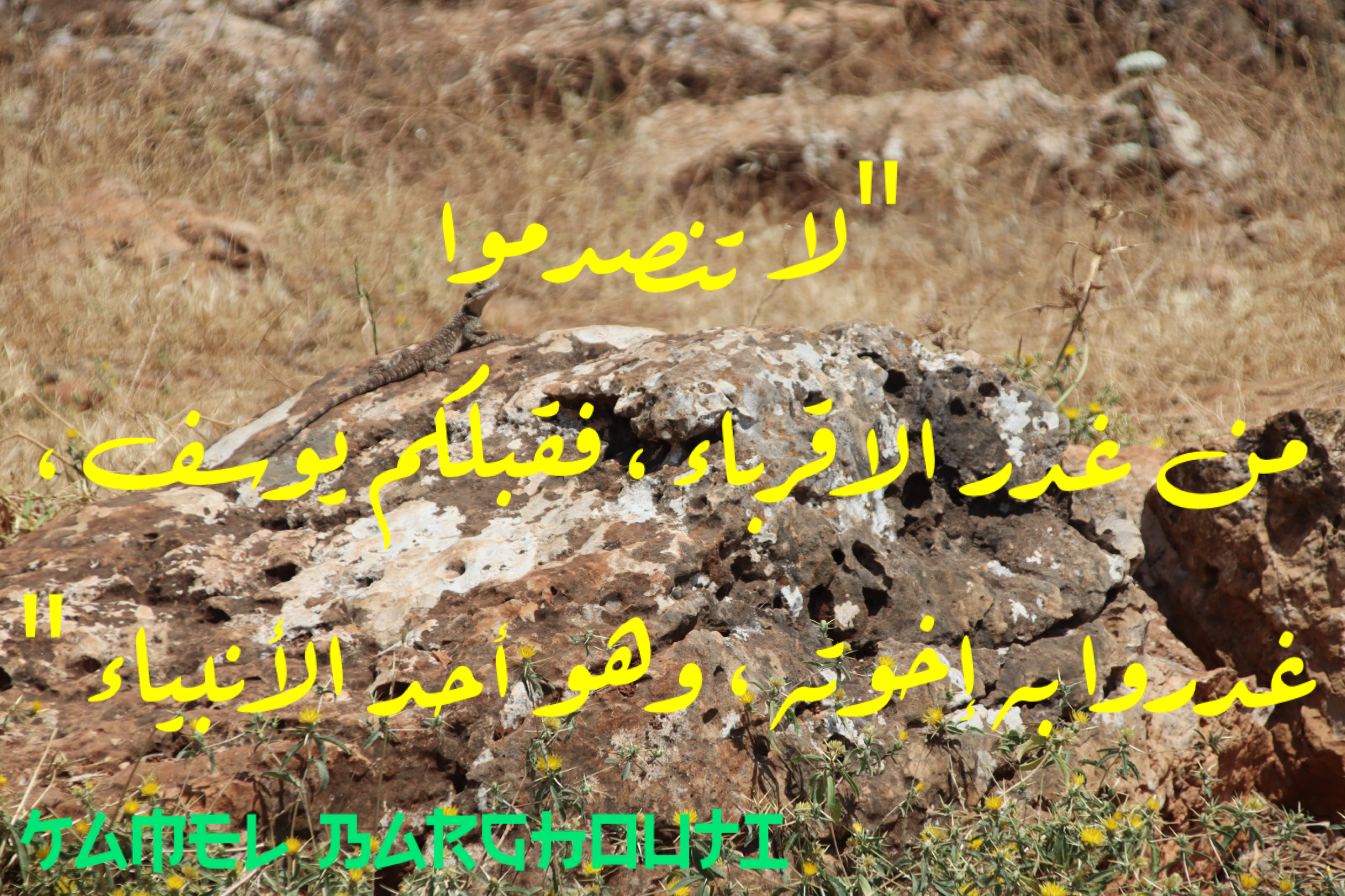 عائلة – اقتباس 41